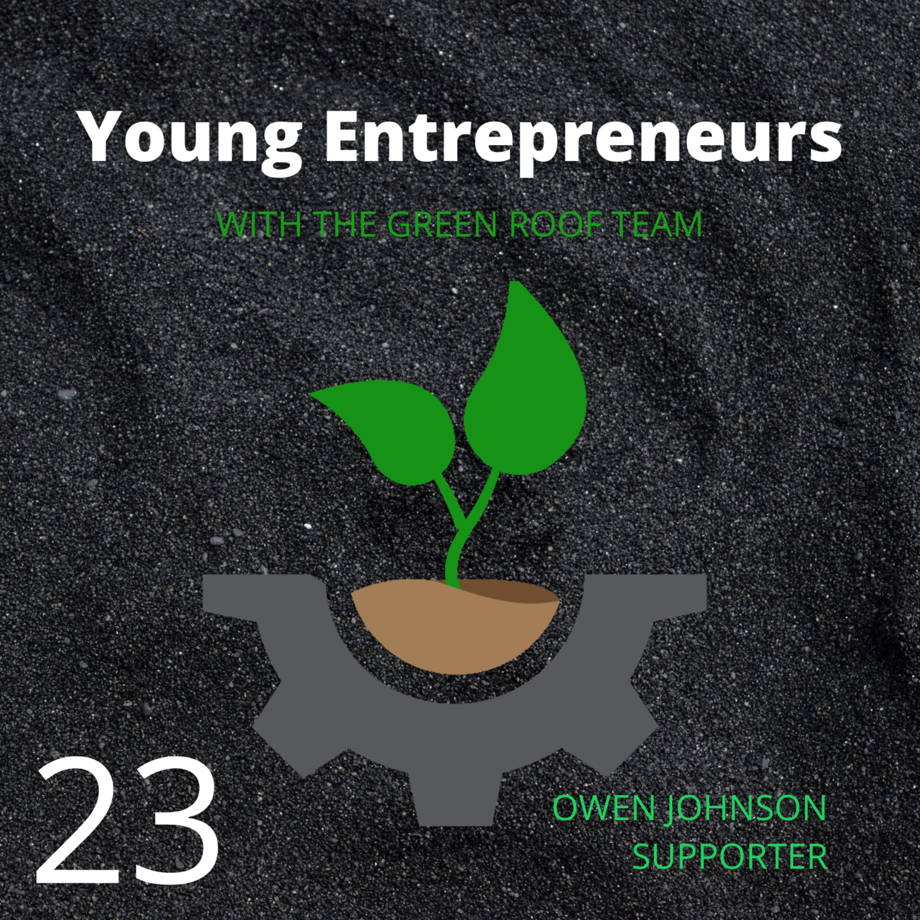 Young Entrepreneurs