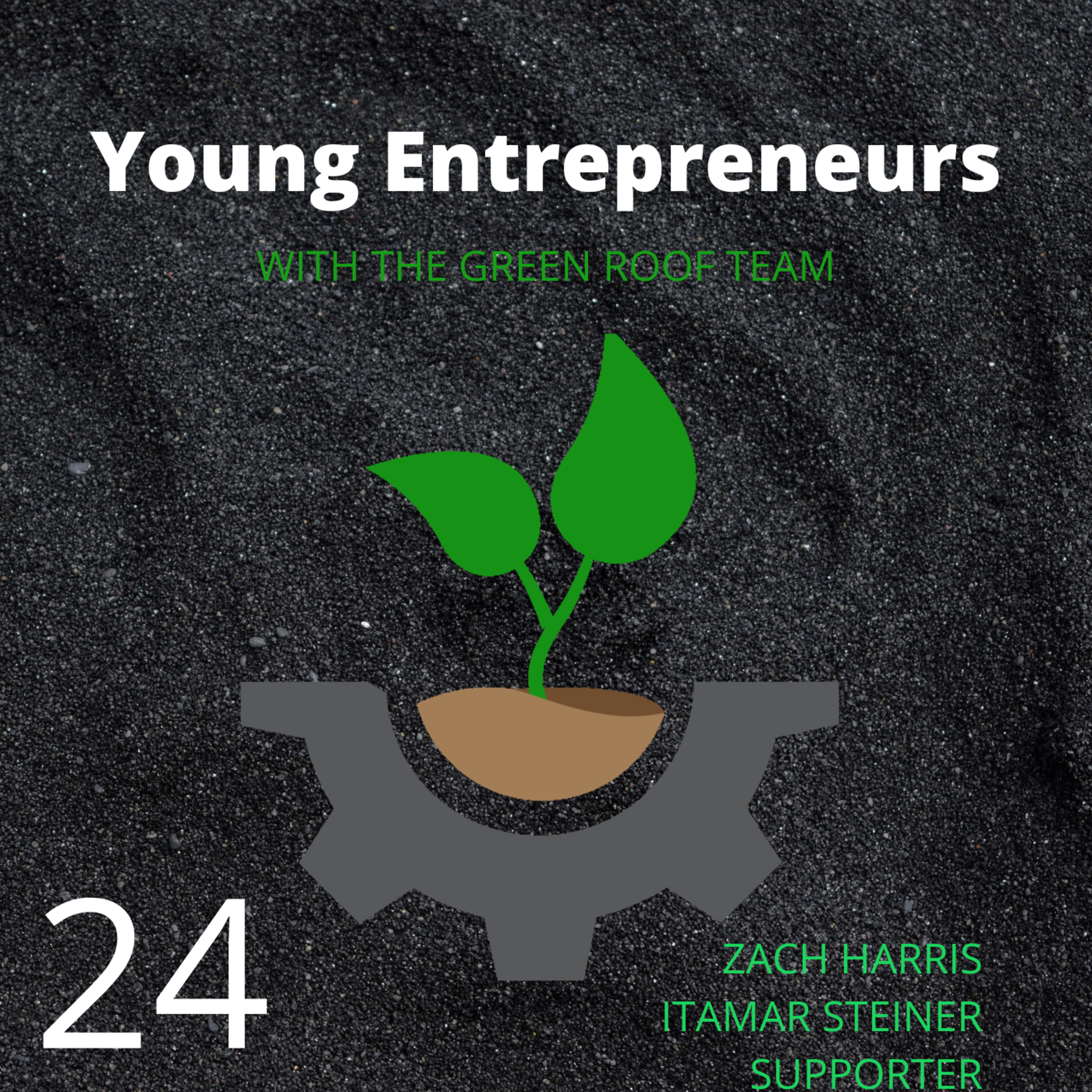 Young Entrepreneurs