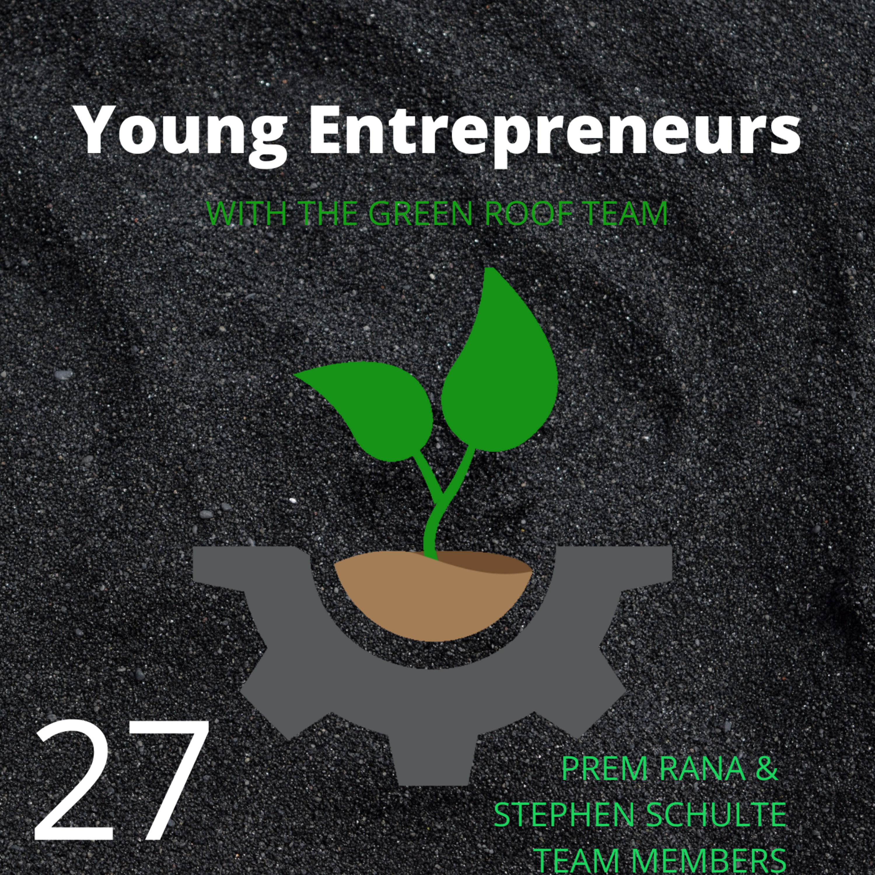 Young Entrepreneurs