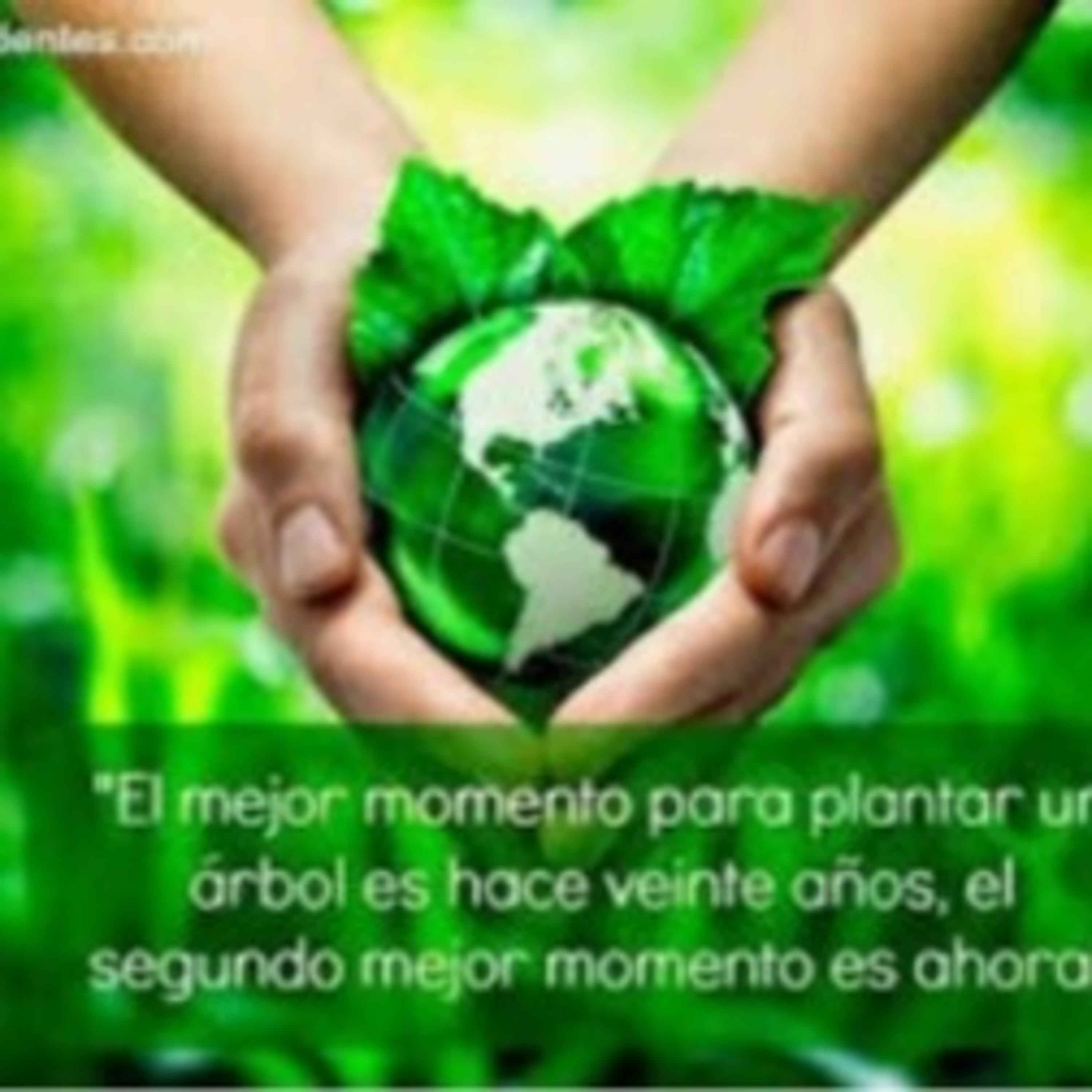 Enseñar a cuidar el medio ambiente es enseñar a valorar la vida 