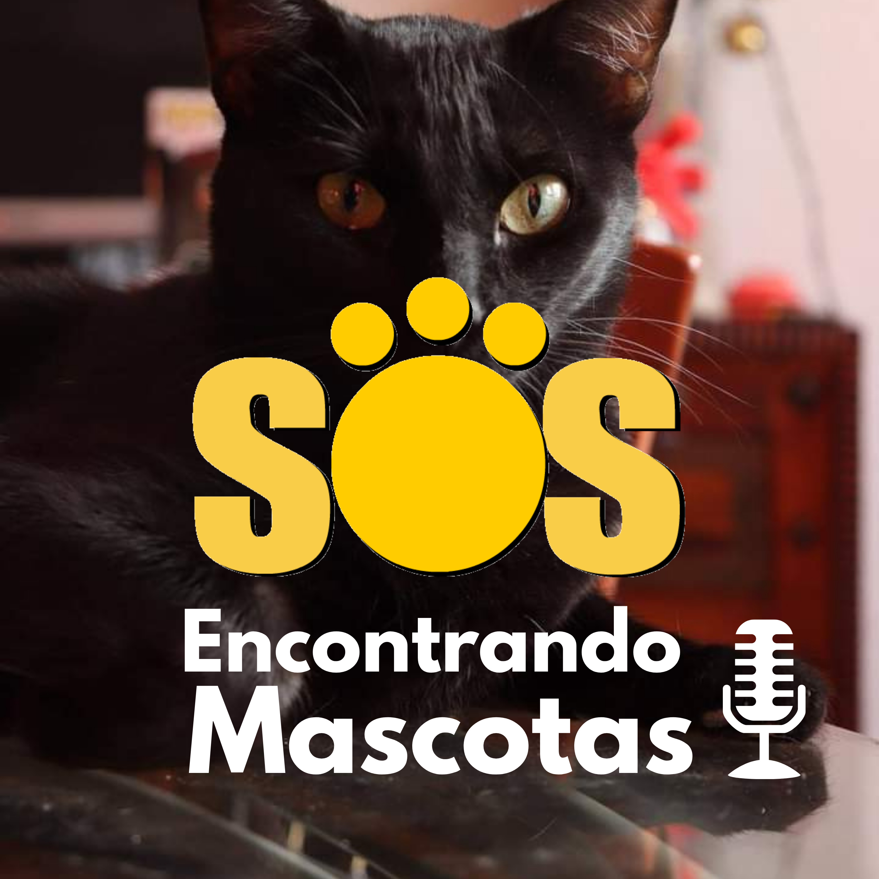 SOS Encontrando Mascotas