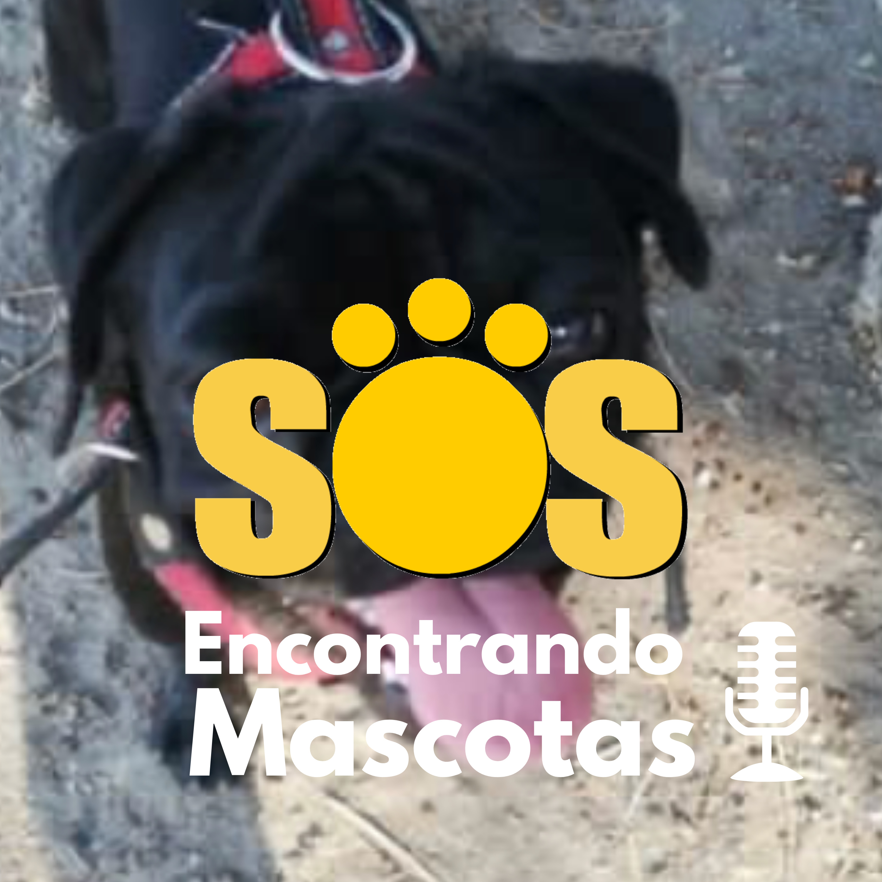 SOS Encontrando Mascotas
