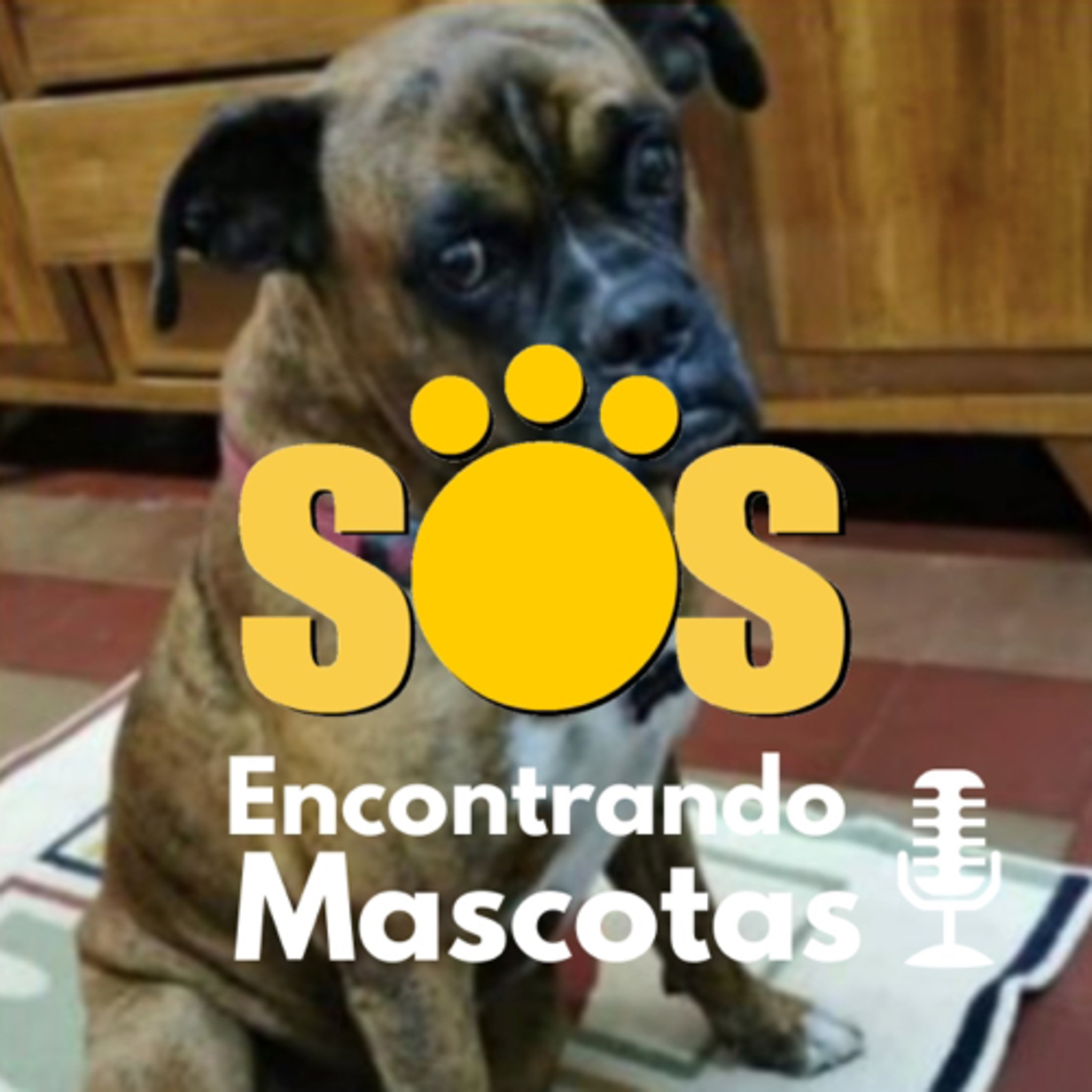 SOS Encontrando Mascotas