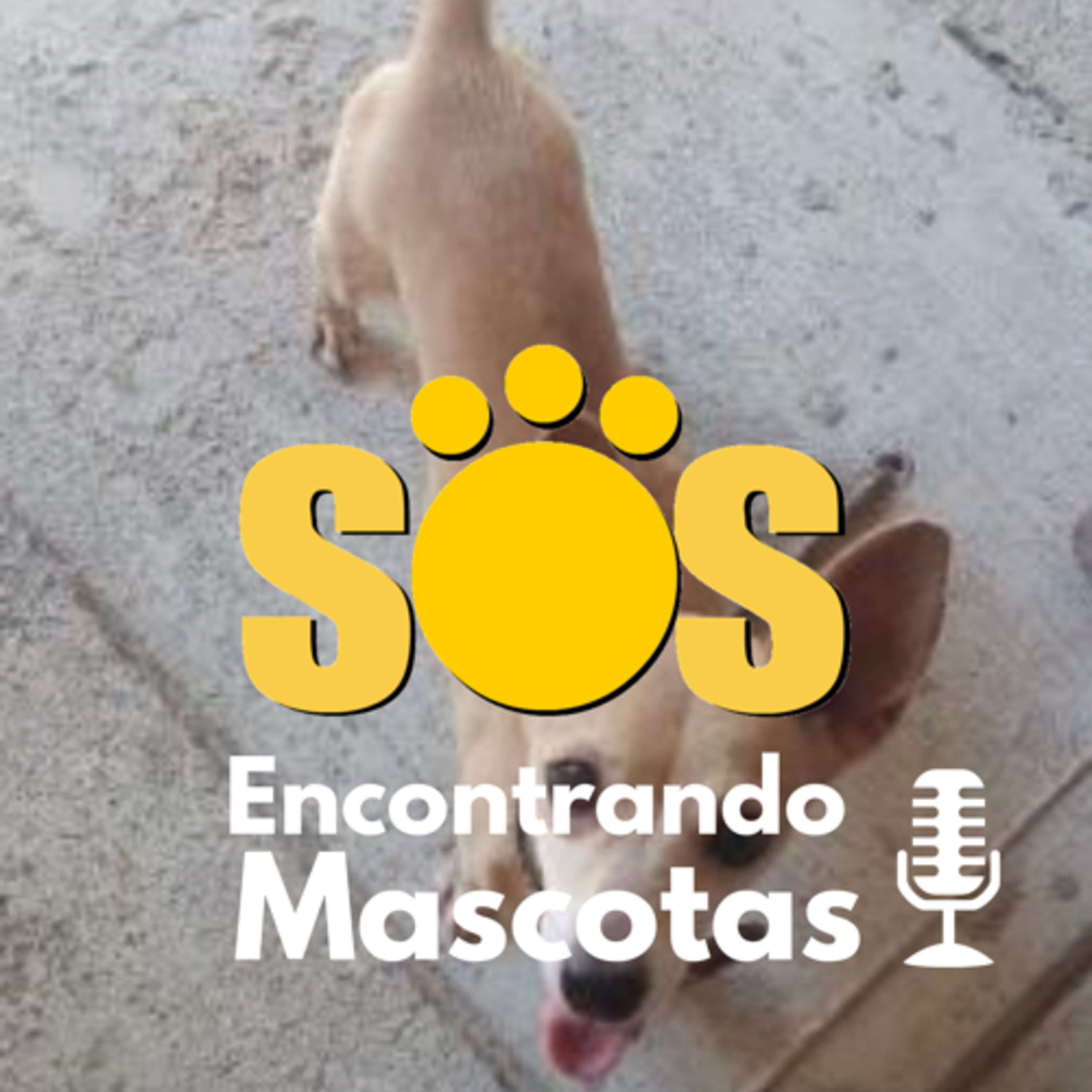 SOS Encontrando Mascotas