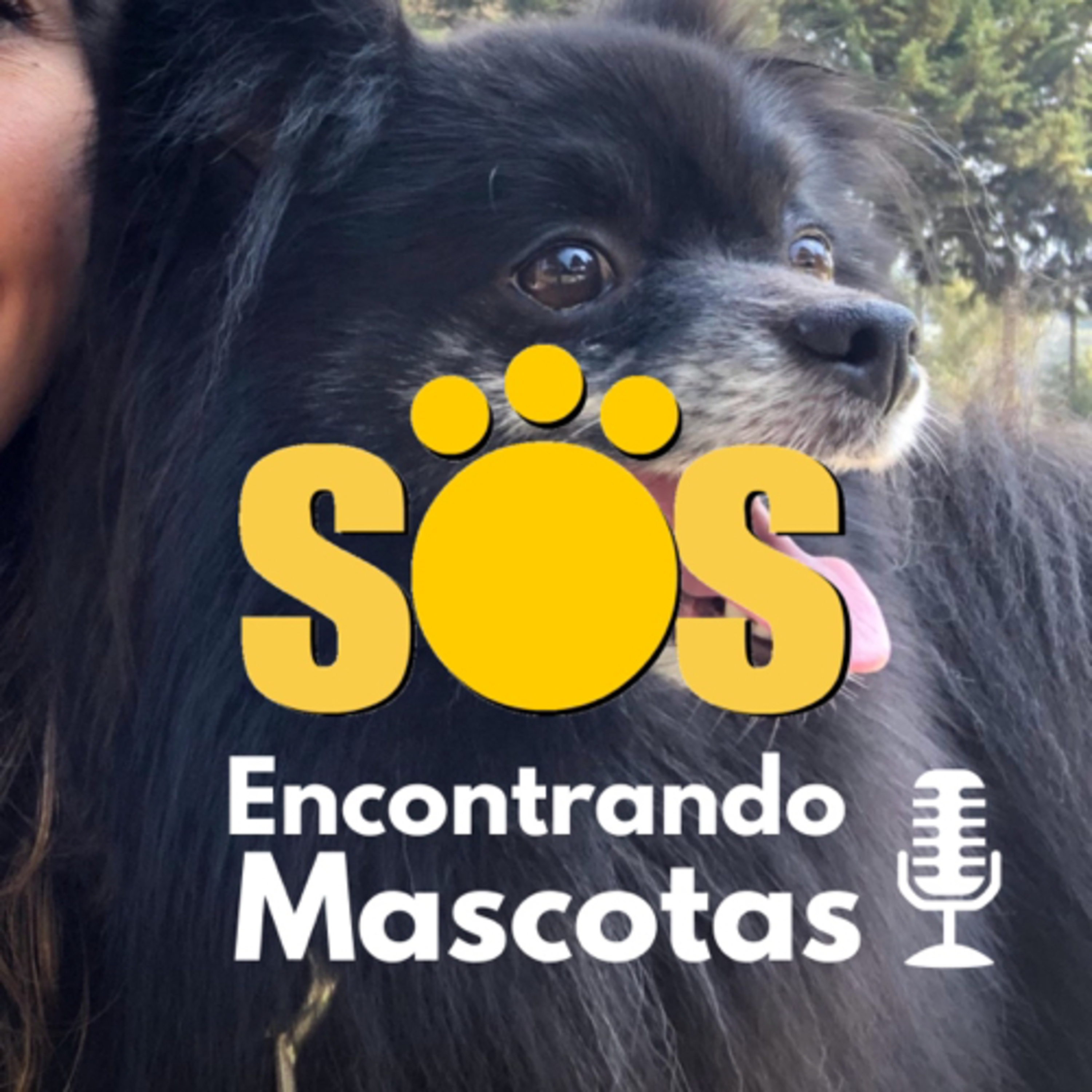 SOS Encontrando Mascotas