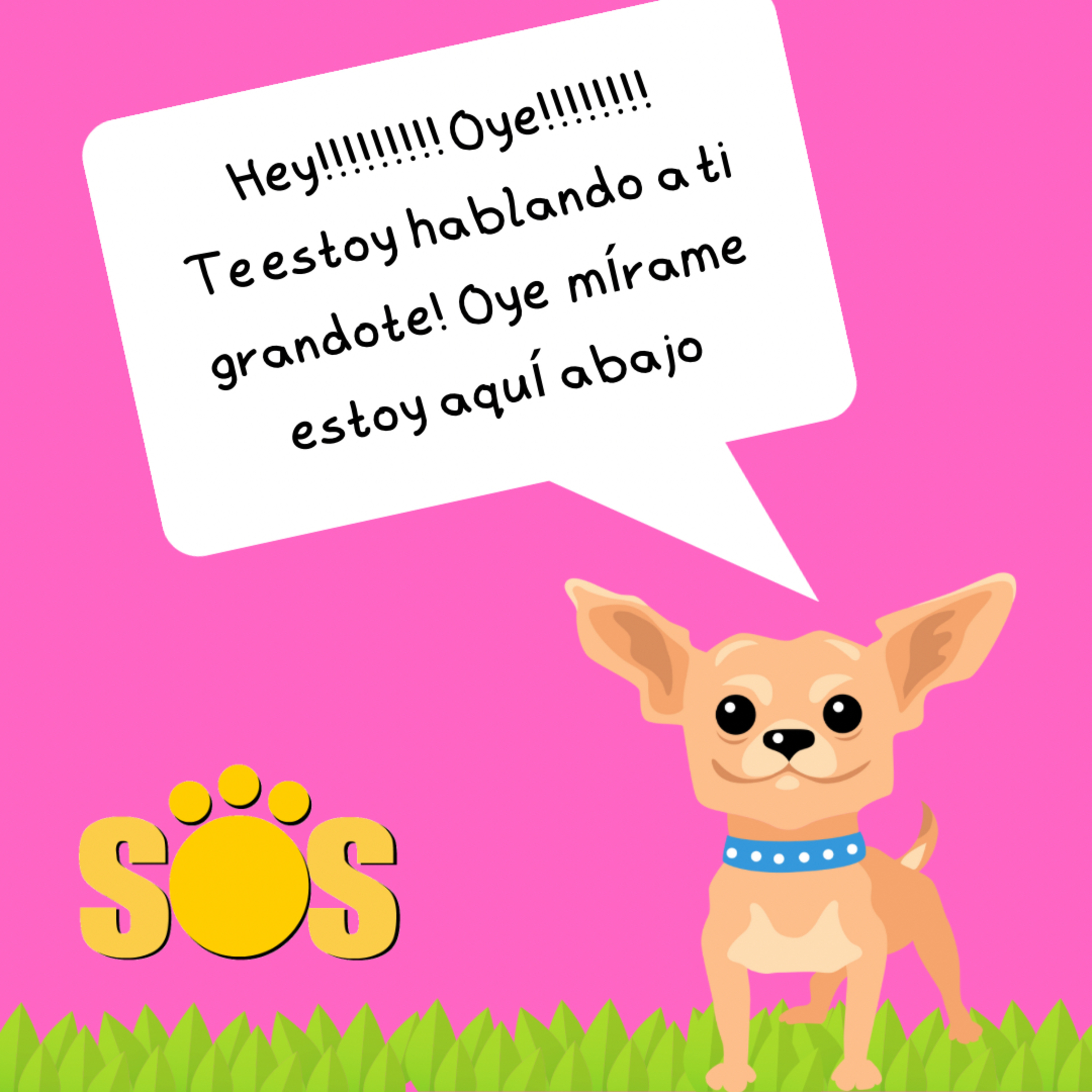 SOS Encontrando Mascotas