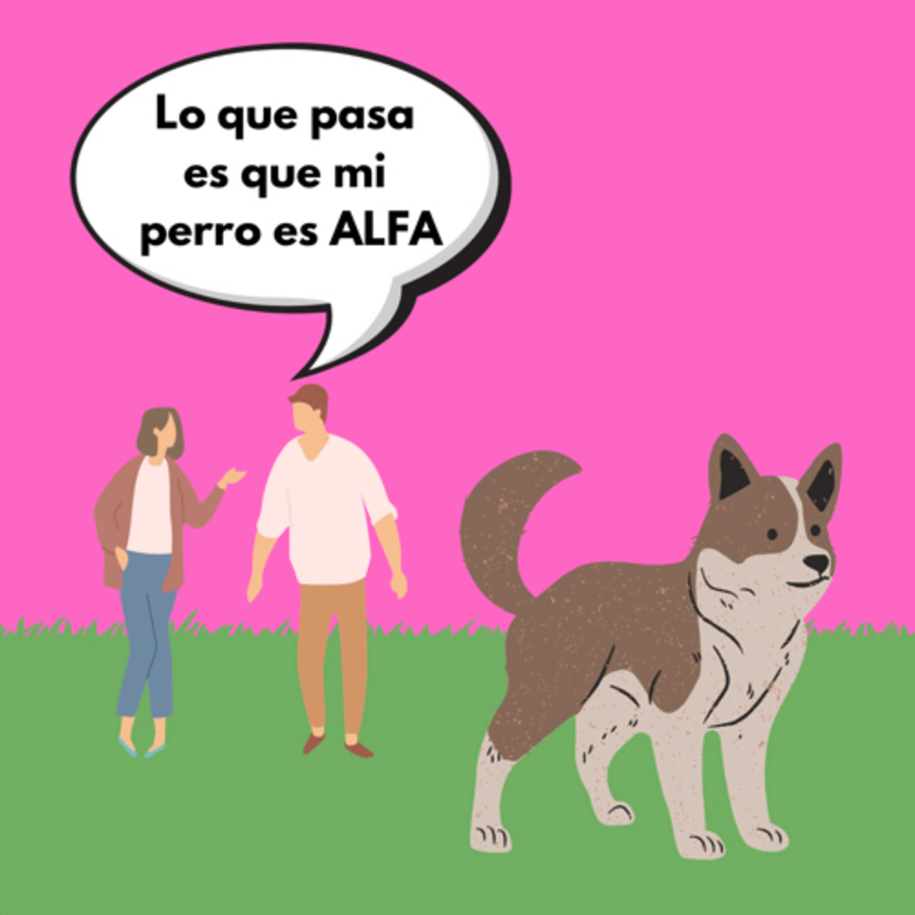 SOS Encontrando Mascotas