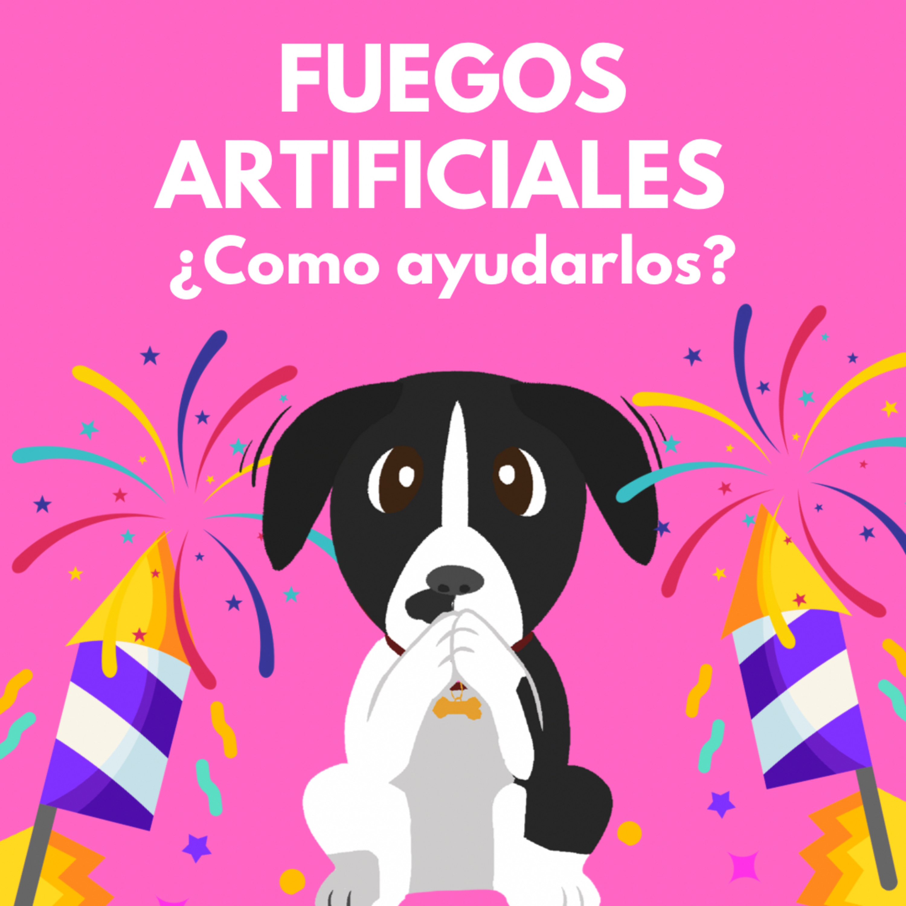 SOS Encontrando Mascotas