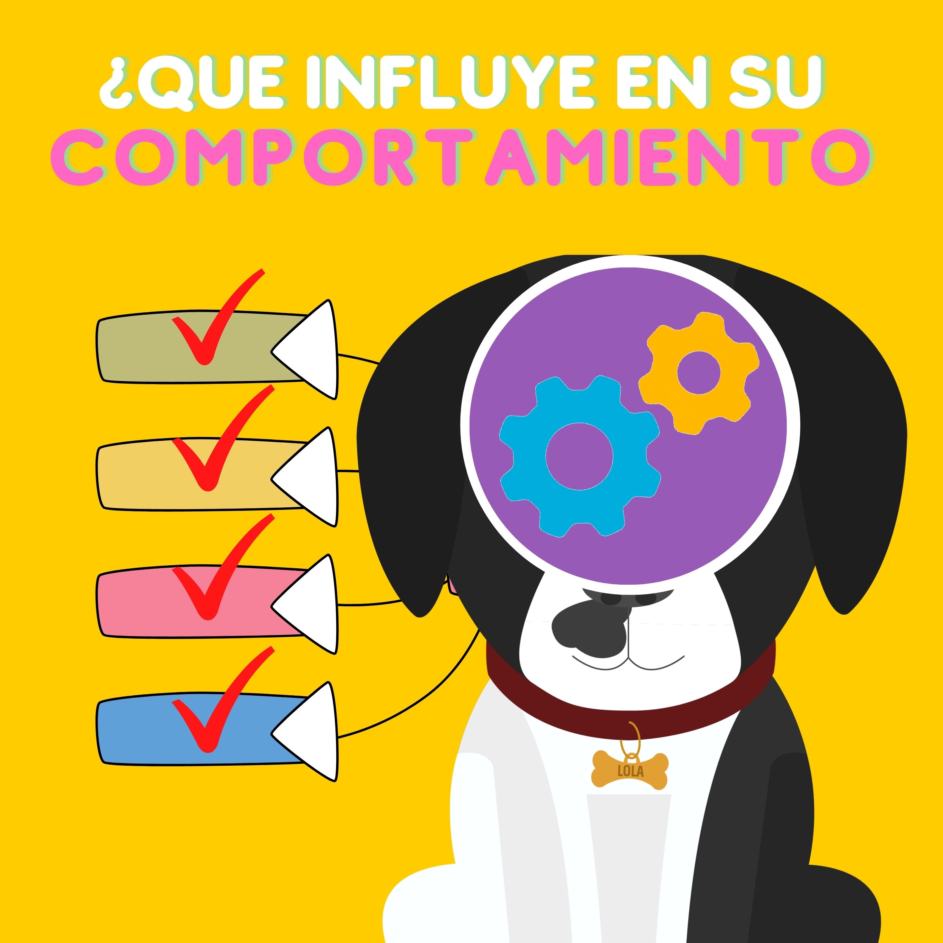 SOS Encontrando Mascotas