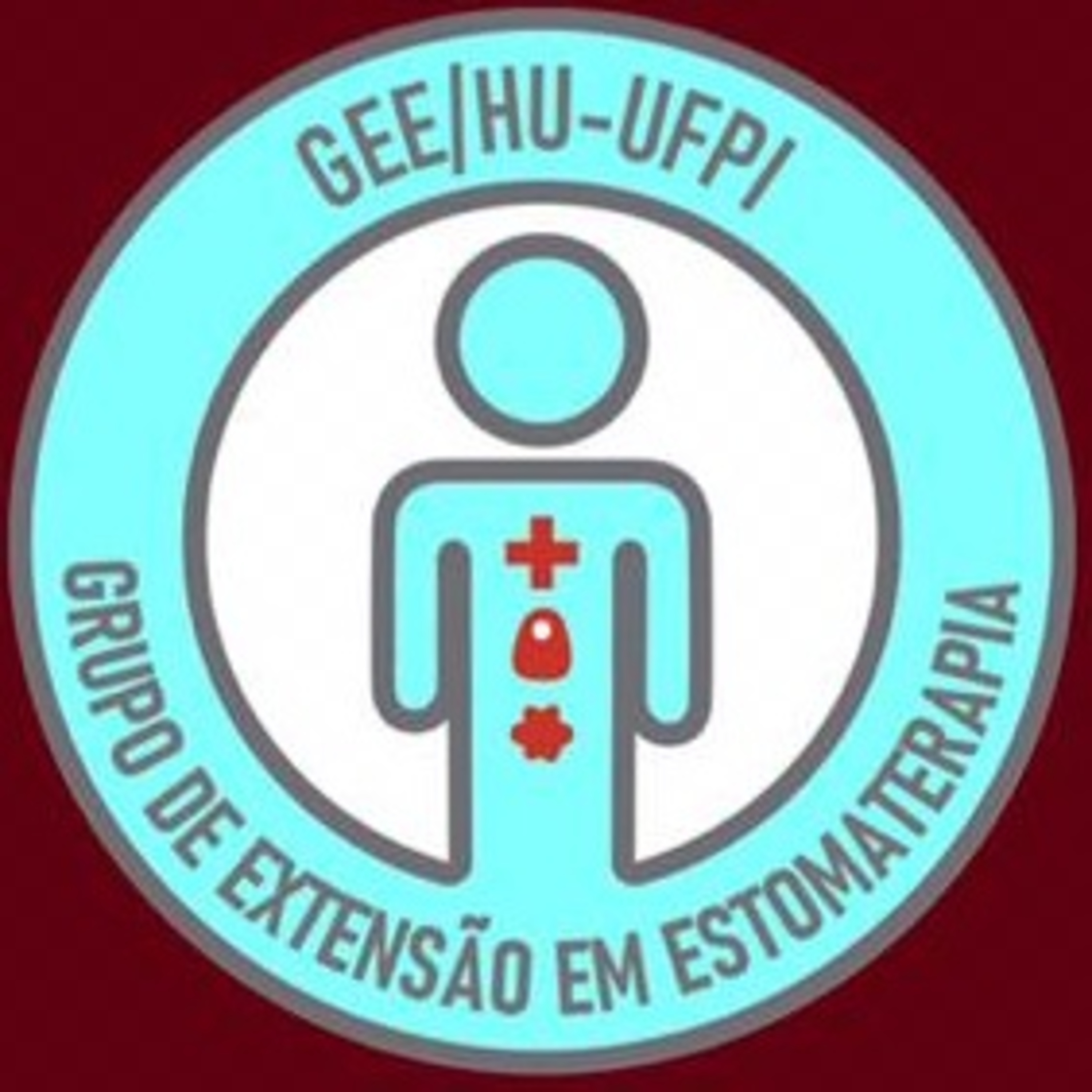GEE-UFPI
