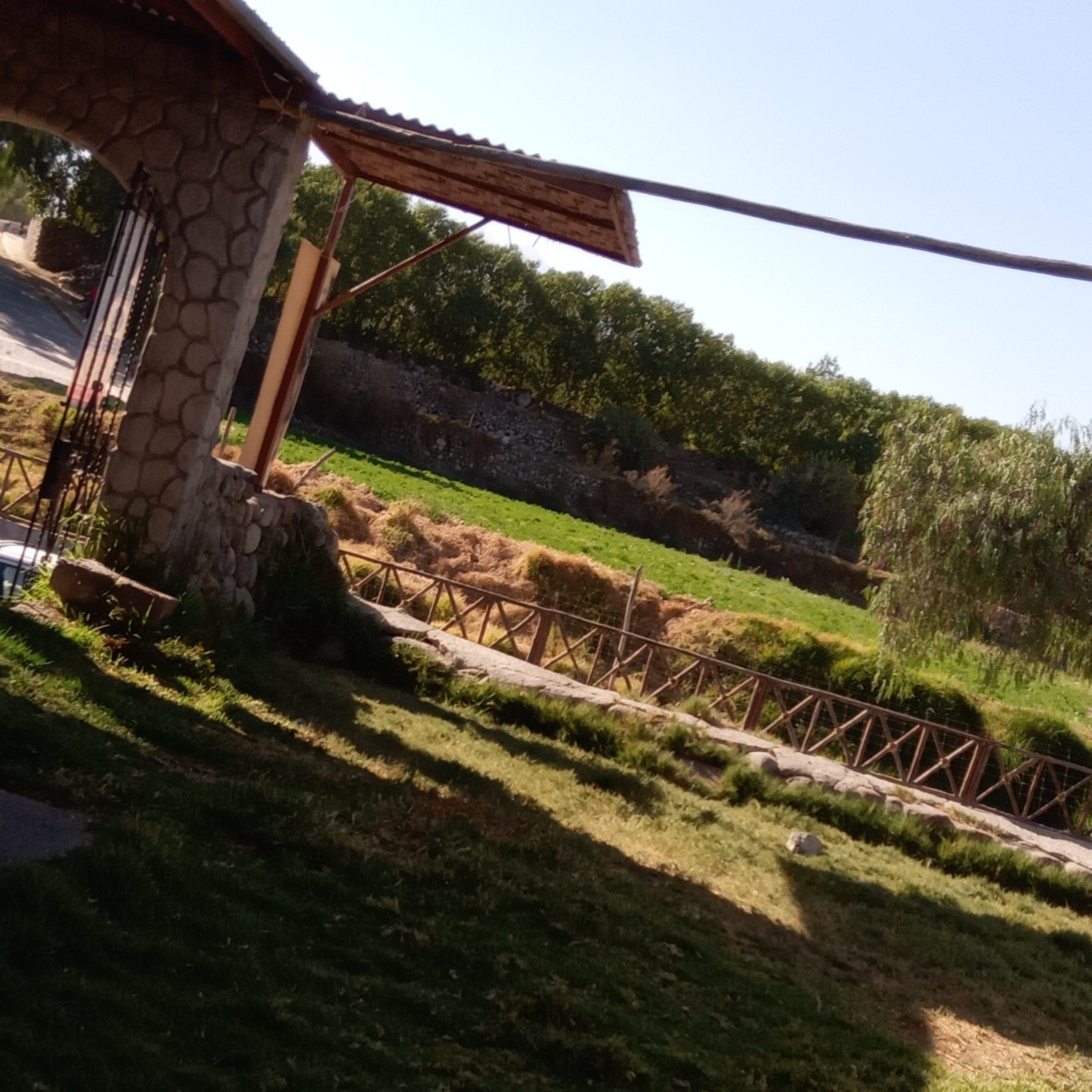 Aristóteles y el Ser 