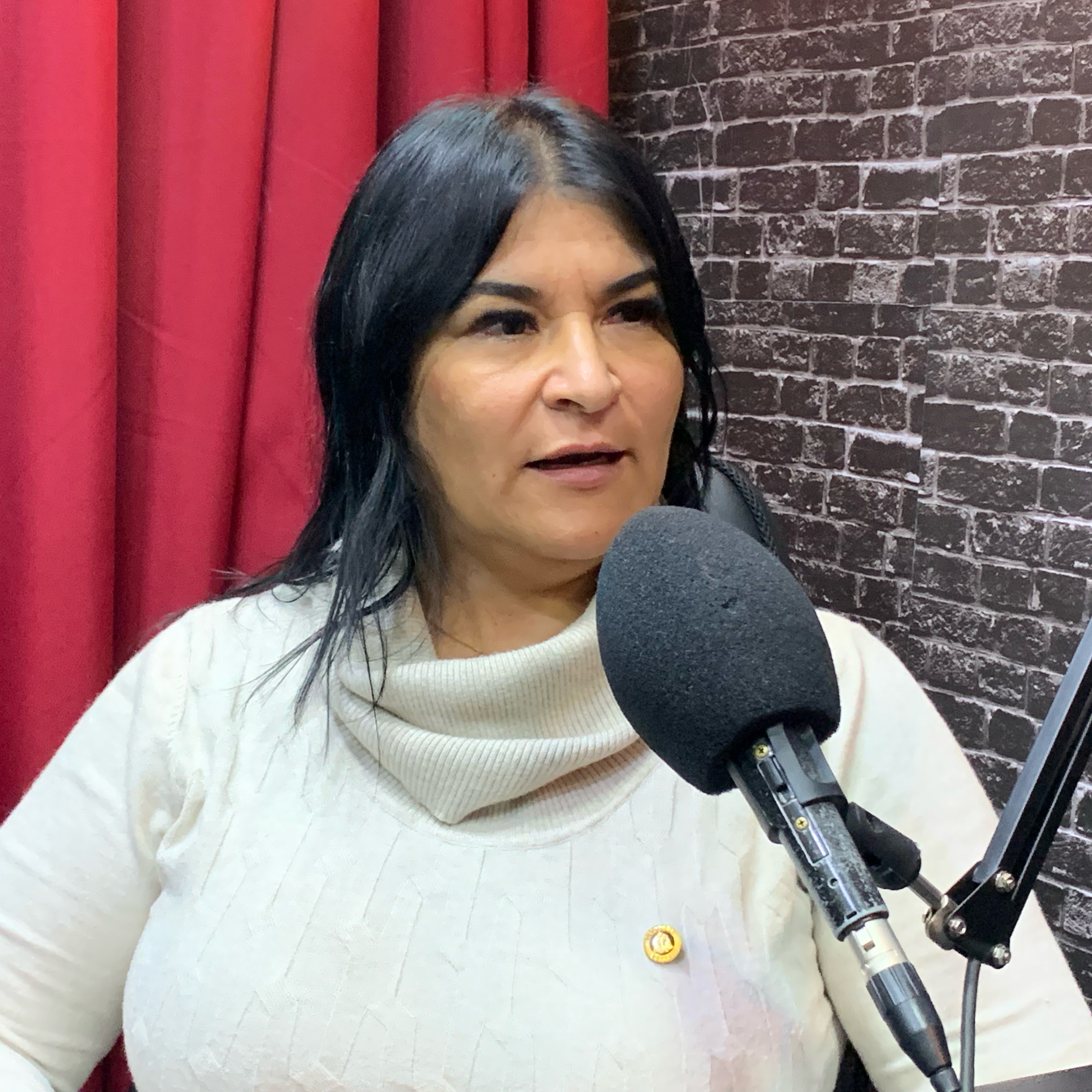 DEPUTADA ESTADUAL ADRIANA BORGO - SEGURANÇA PÚBLICA E AFINS - Isto Não É #179 episode artwork