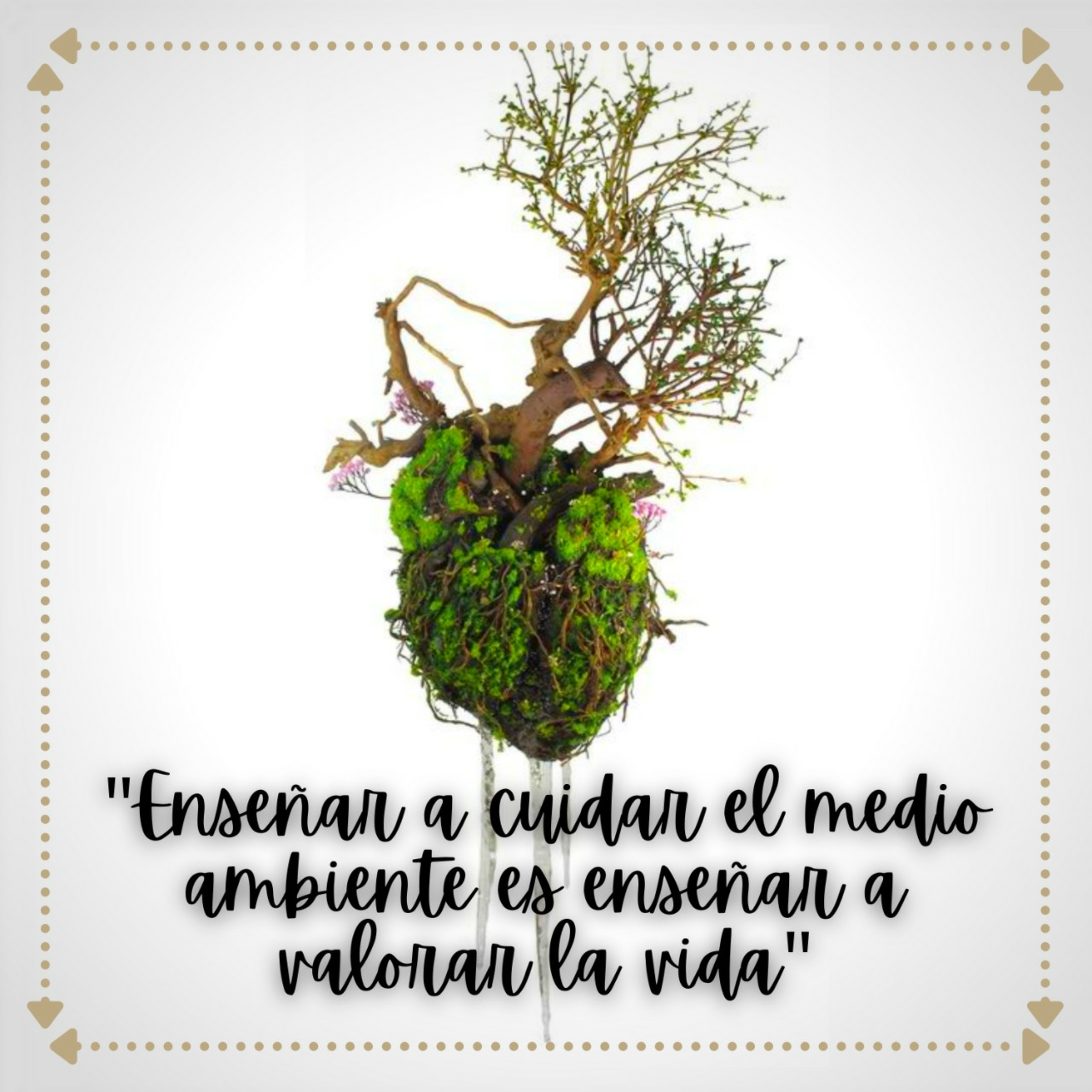 La contaminación  episode artwork