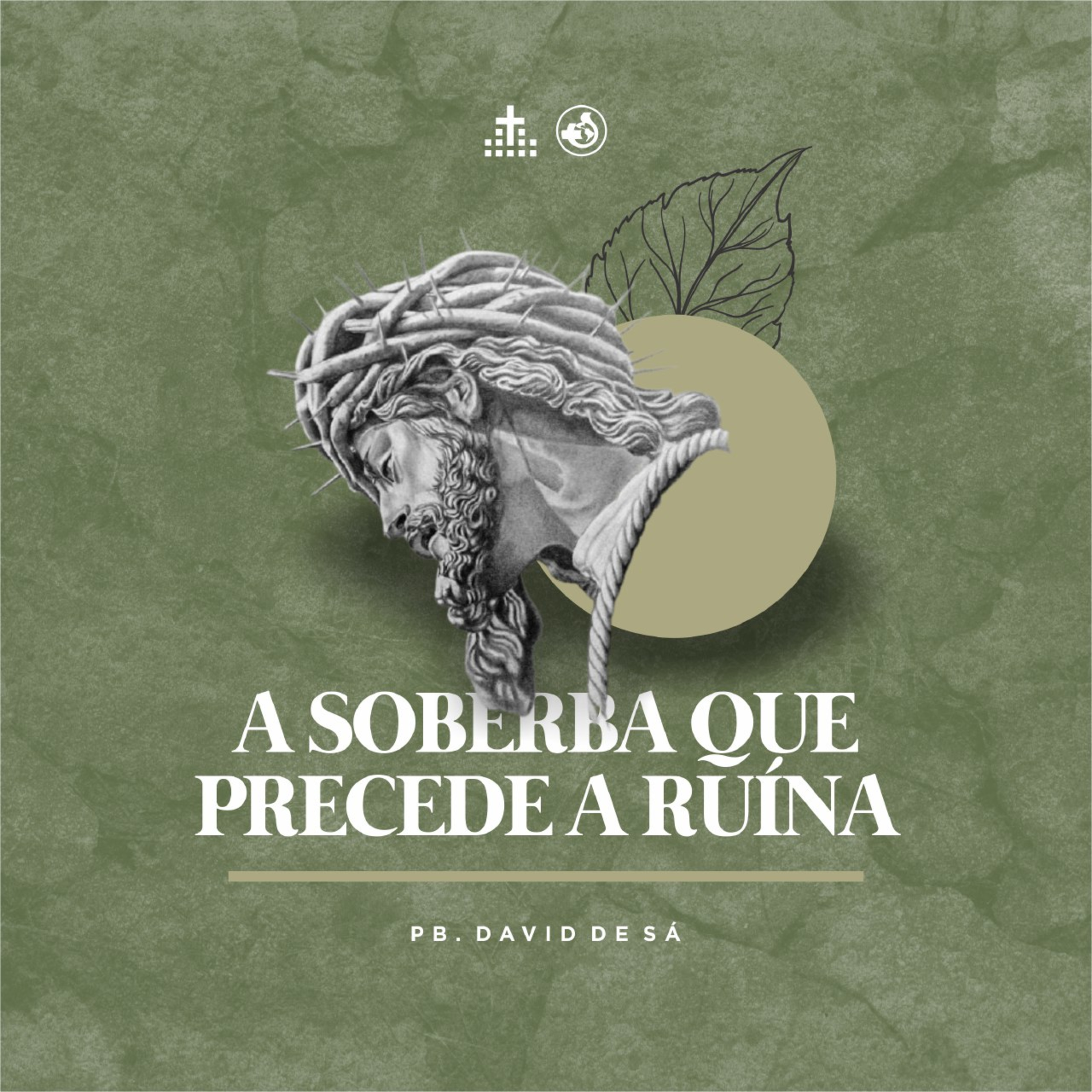 Sal da Terra Curitiba