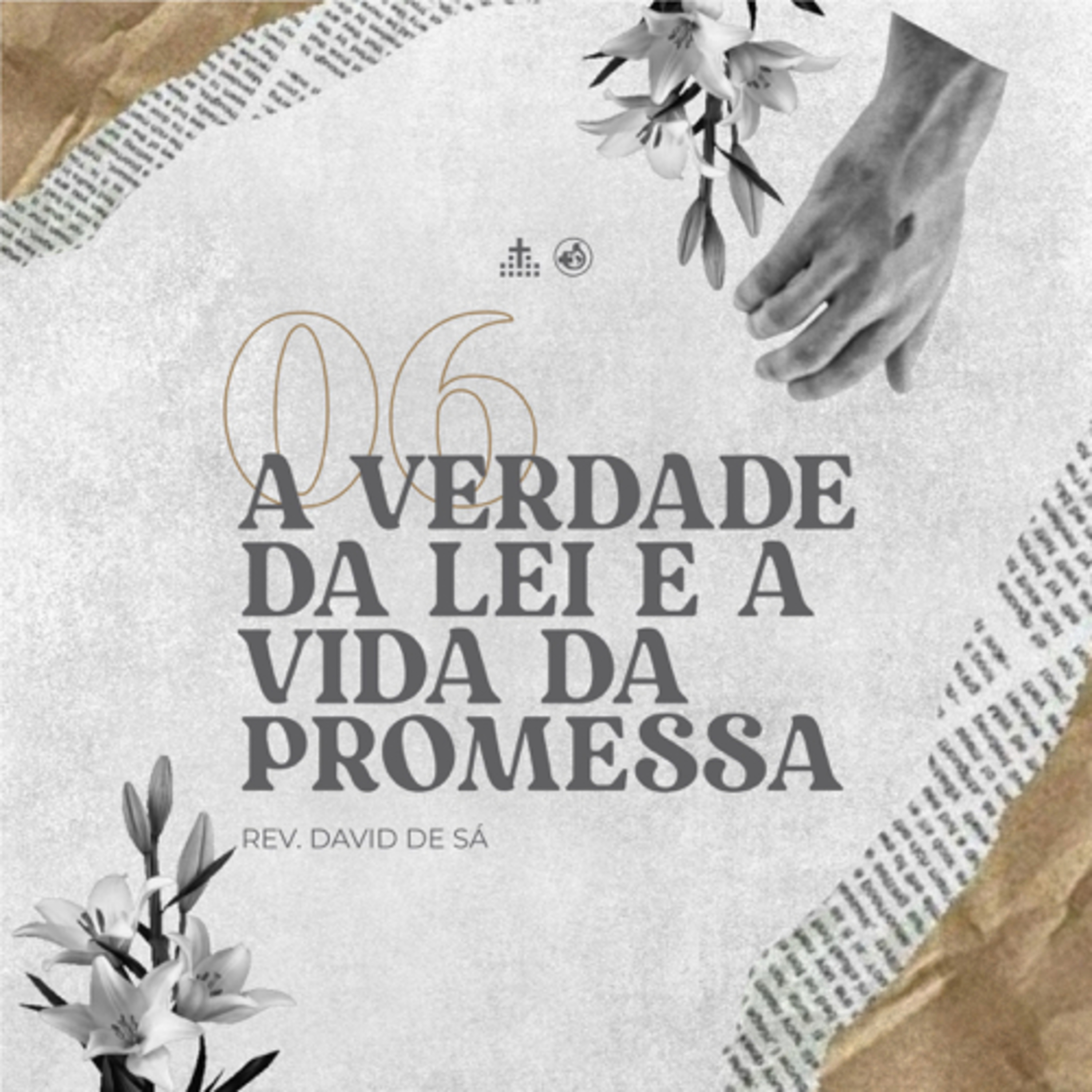 Sal da Terra Curitiba