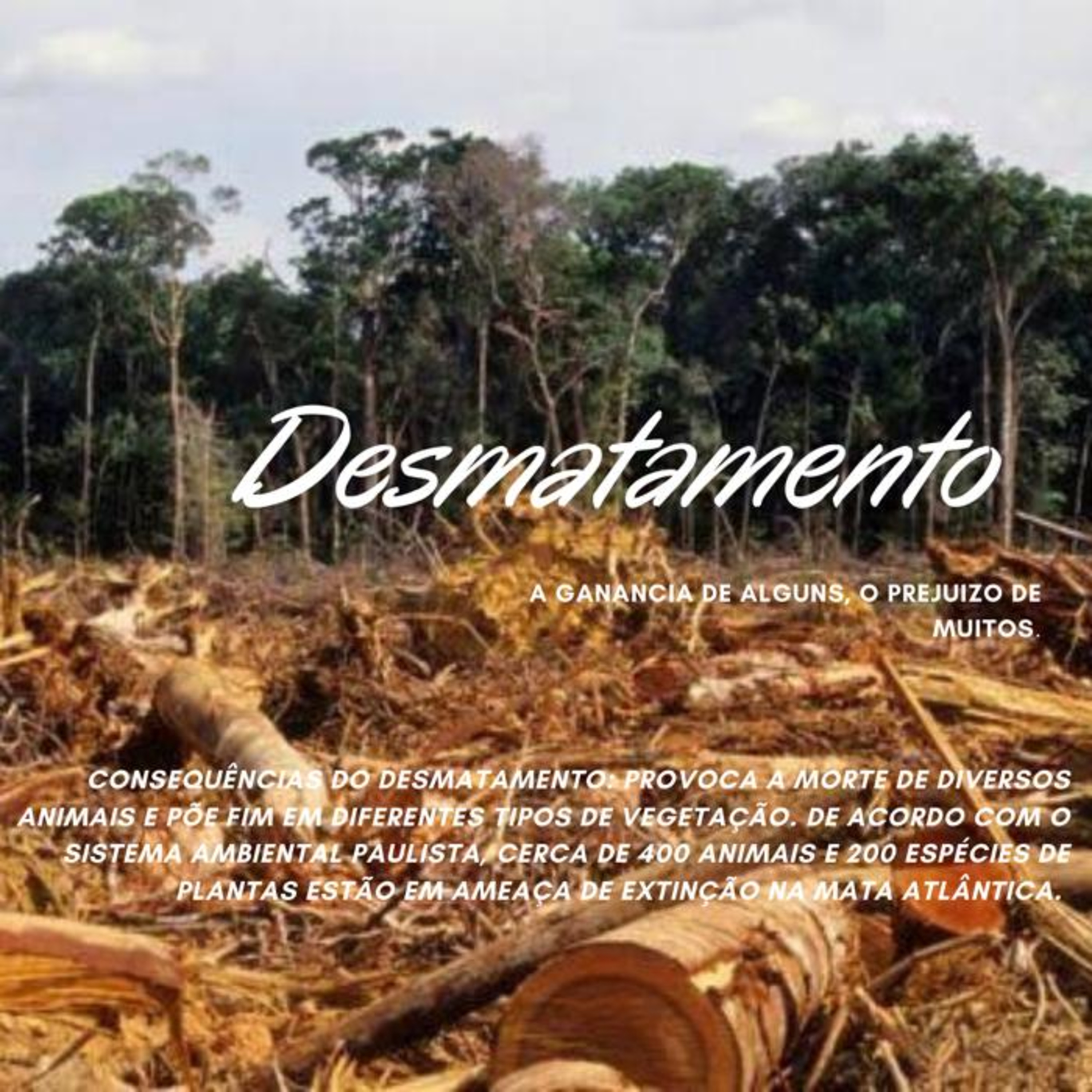 Desmatamento no Brasil episode artwork