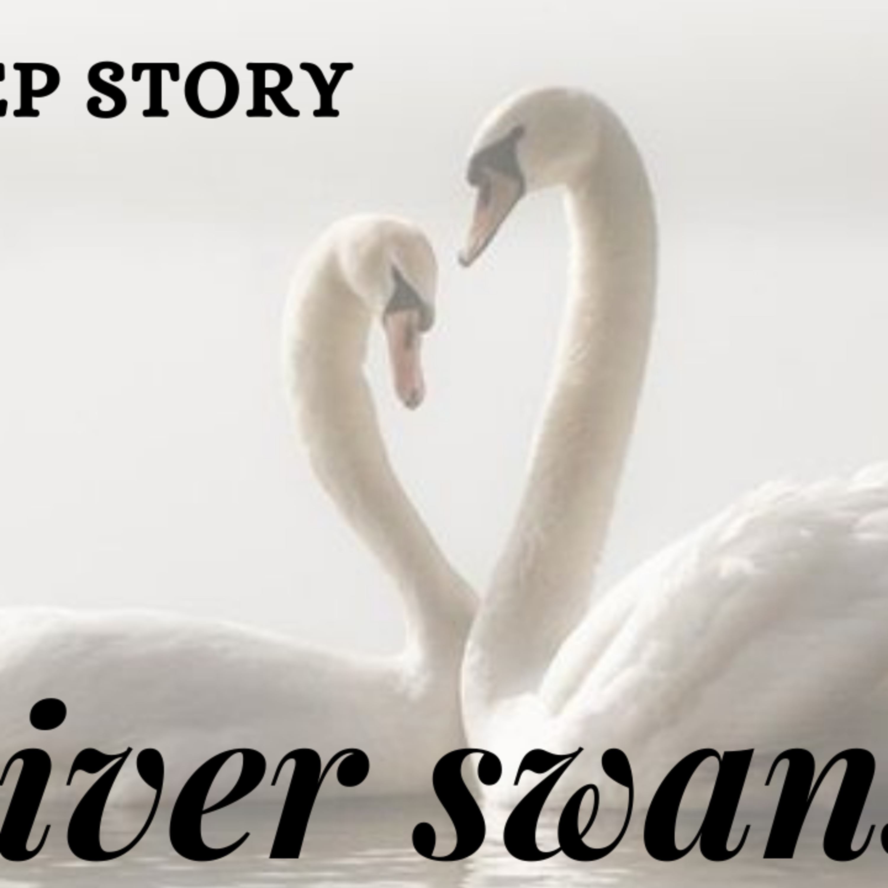 Silver Swans , Sleep story for grown ups (Female voice)