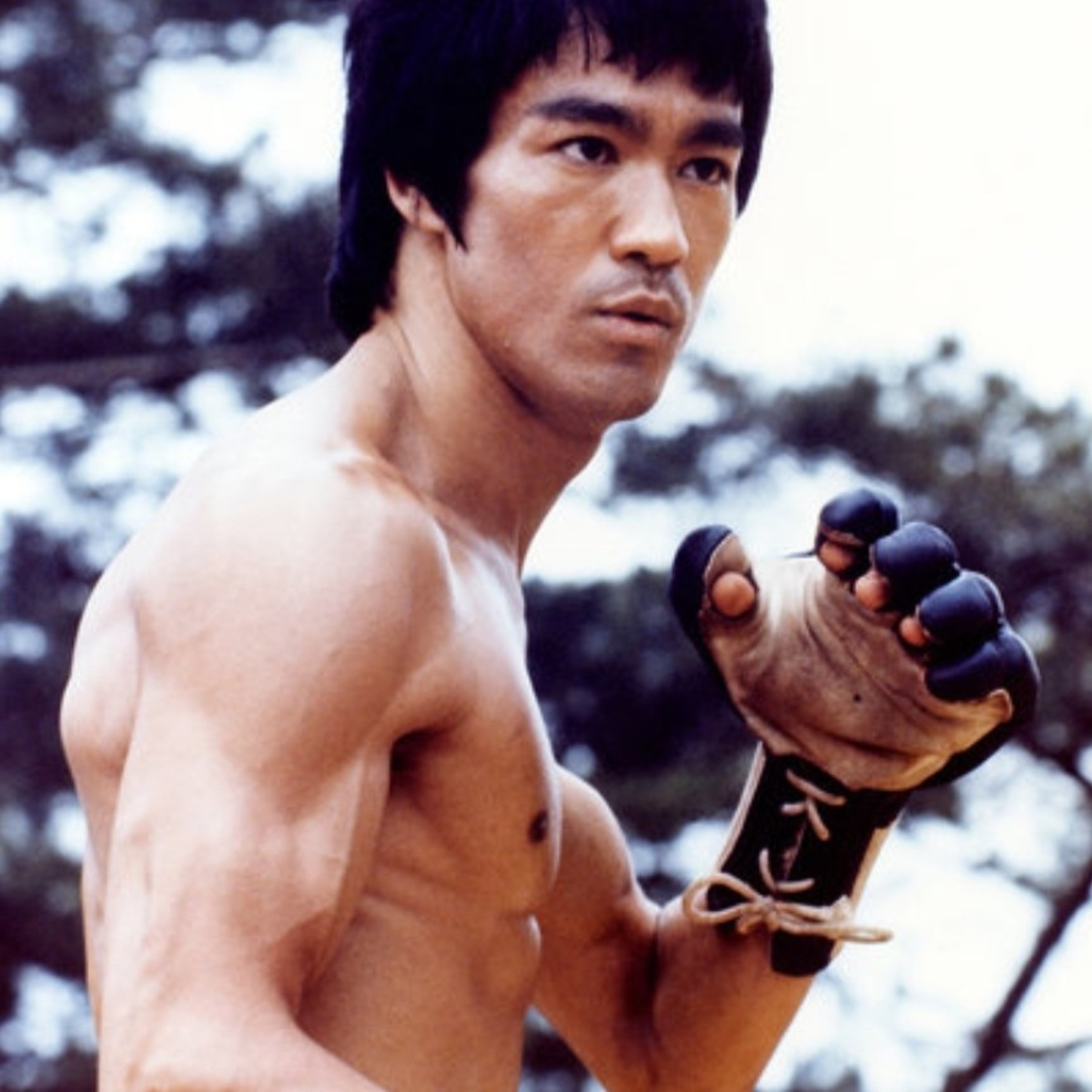 Analyze This Episode 5: Bruce Lee and his influence on Martial Arts in cinema.  episode artwork