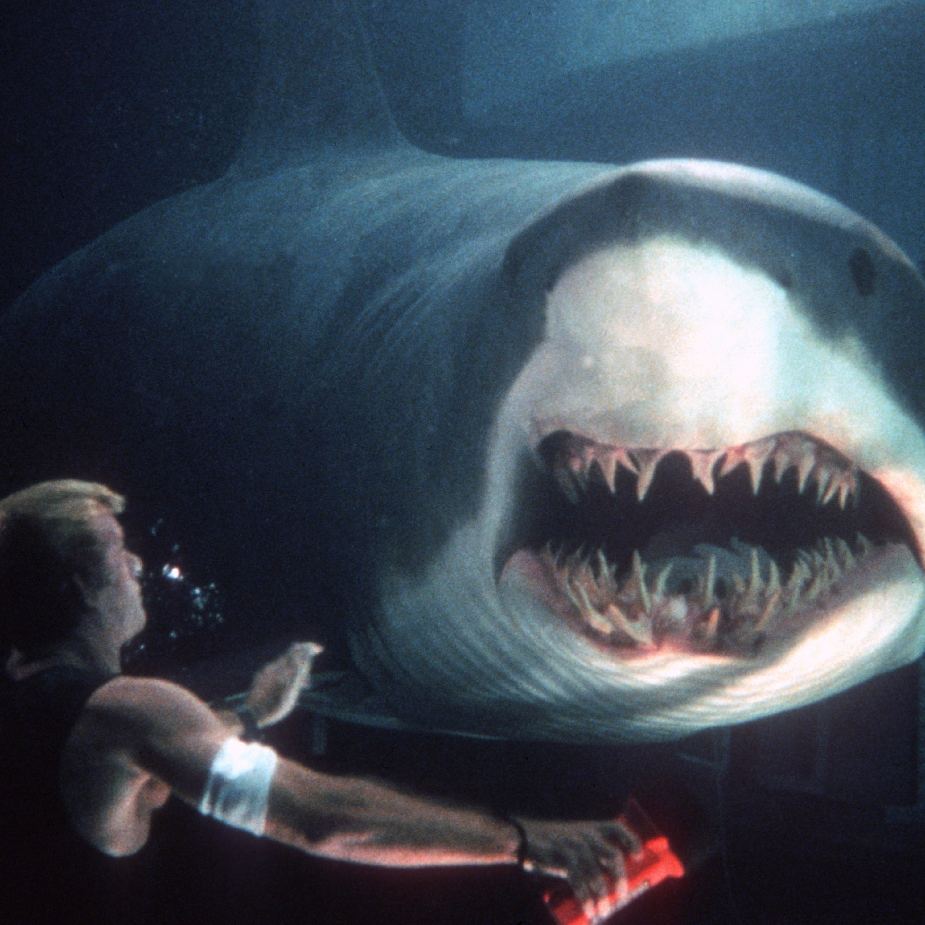 Markout Movie Podcast: 133: Deep Blue Sea: ( The Shark Week Series)  episode artwork