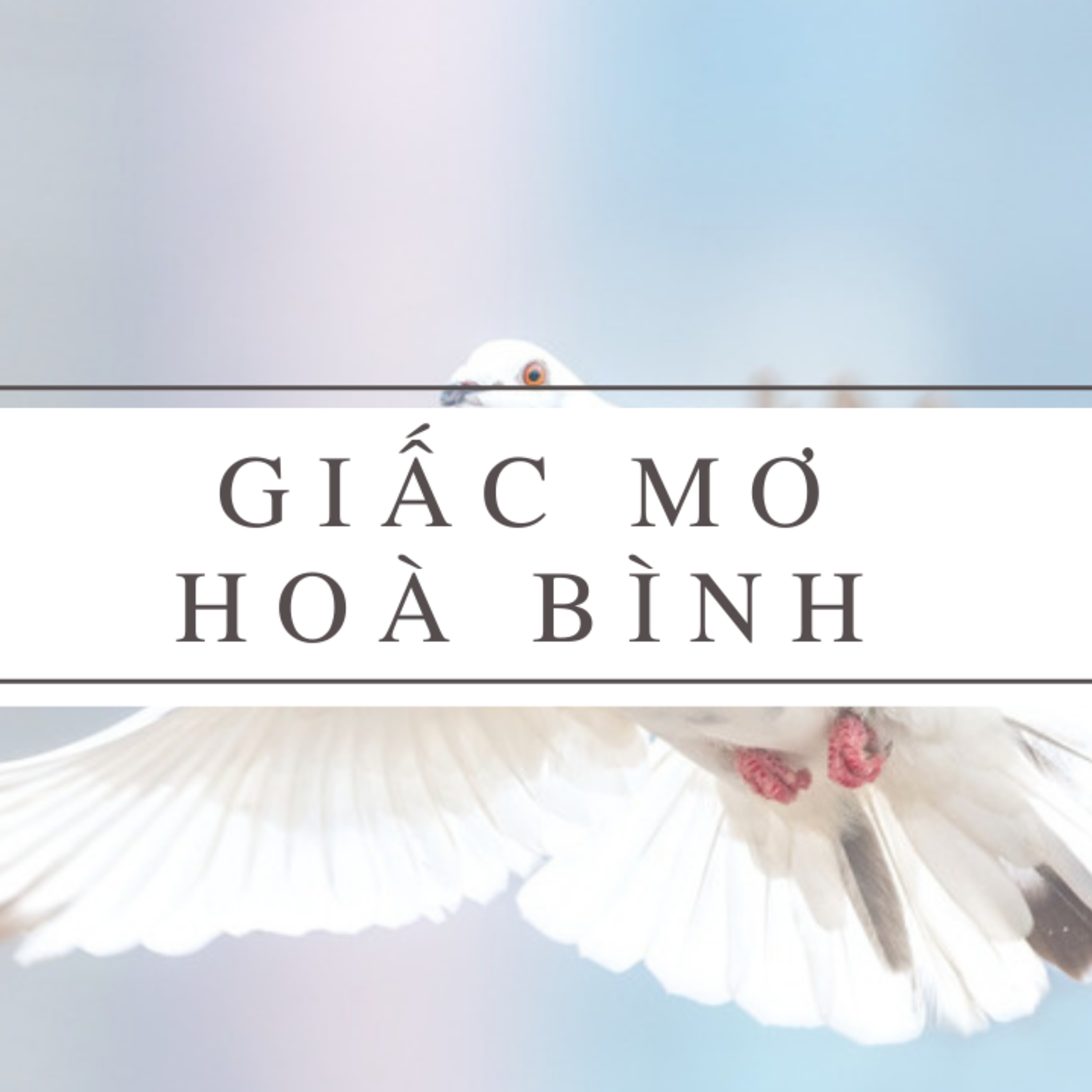Vietnamese Shadowing | Learn Vietnamese | Vietnamese Broadcasting | Learning Vietnam Học Tiếng Việt