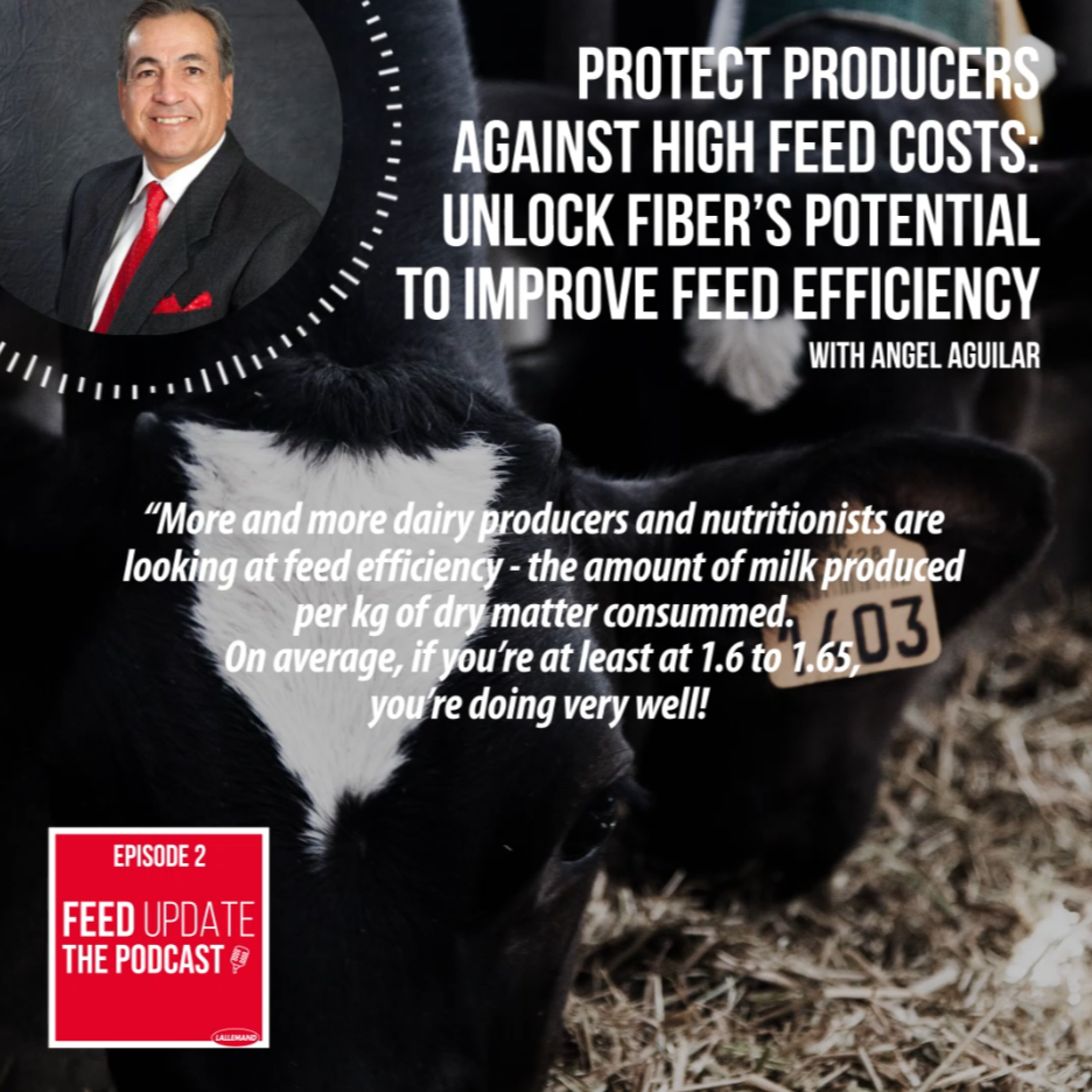 Ep. #2 | Protect producers against high feed costs: Unlock fiber’s potential to improve feed efficiency, with Angel Aguilar, Ph.D episode artwork