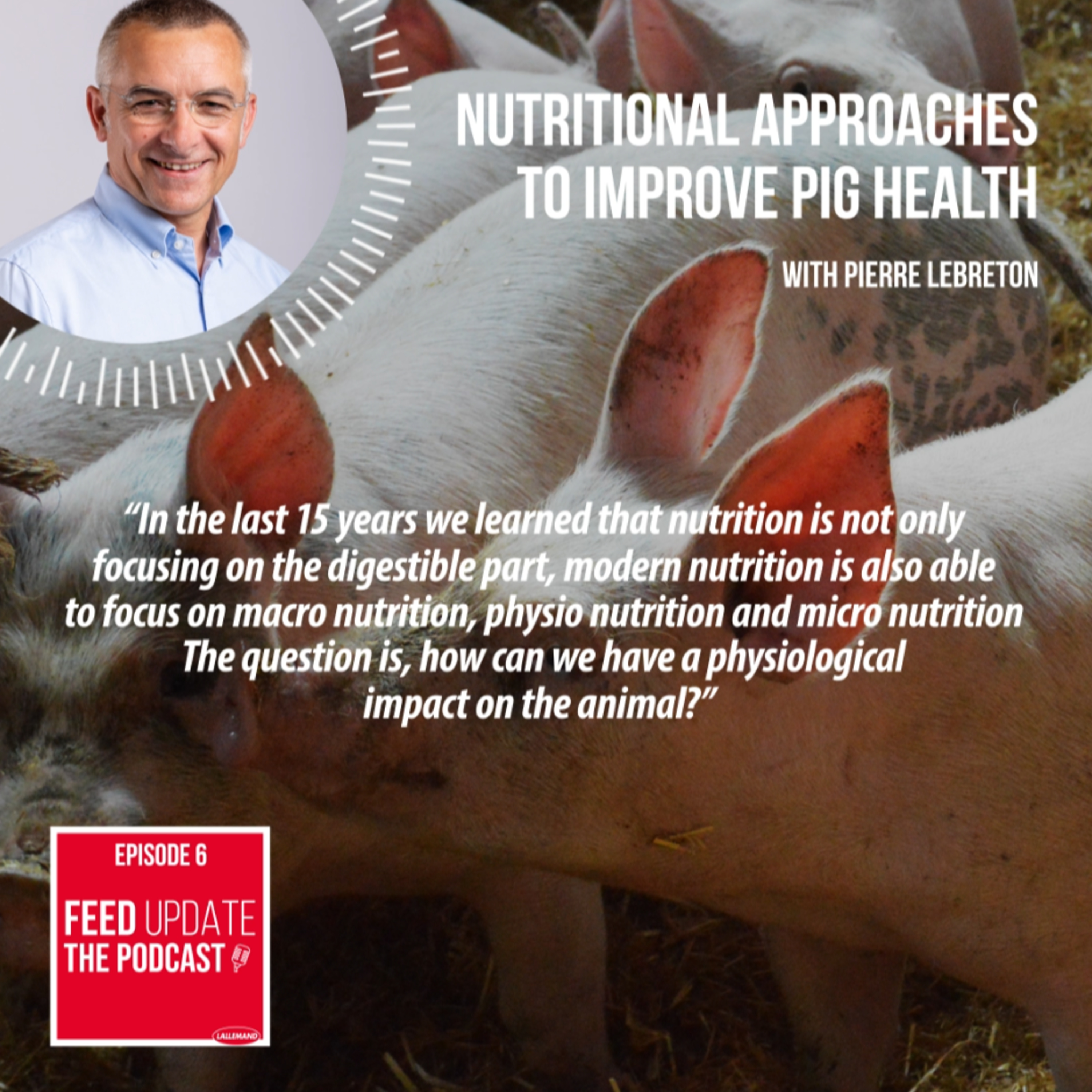 Ep. #6 | Nutritional approaches to improve pig health, with Pierre Lebreton episode artwork