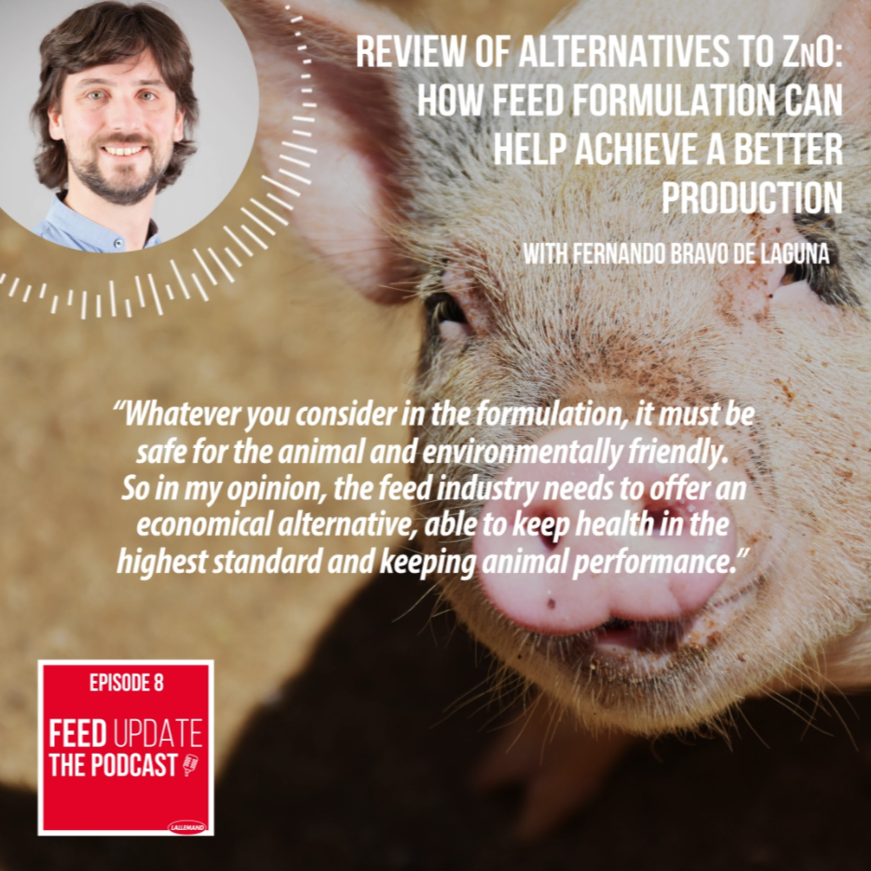 Ep. #8 | Review of alternatives to ZnO: how feed formulation can help achieve a better production, with Fernando Bravo de Laguna episode artwork