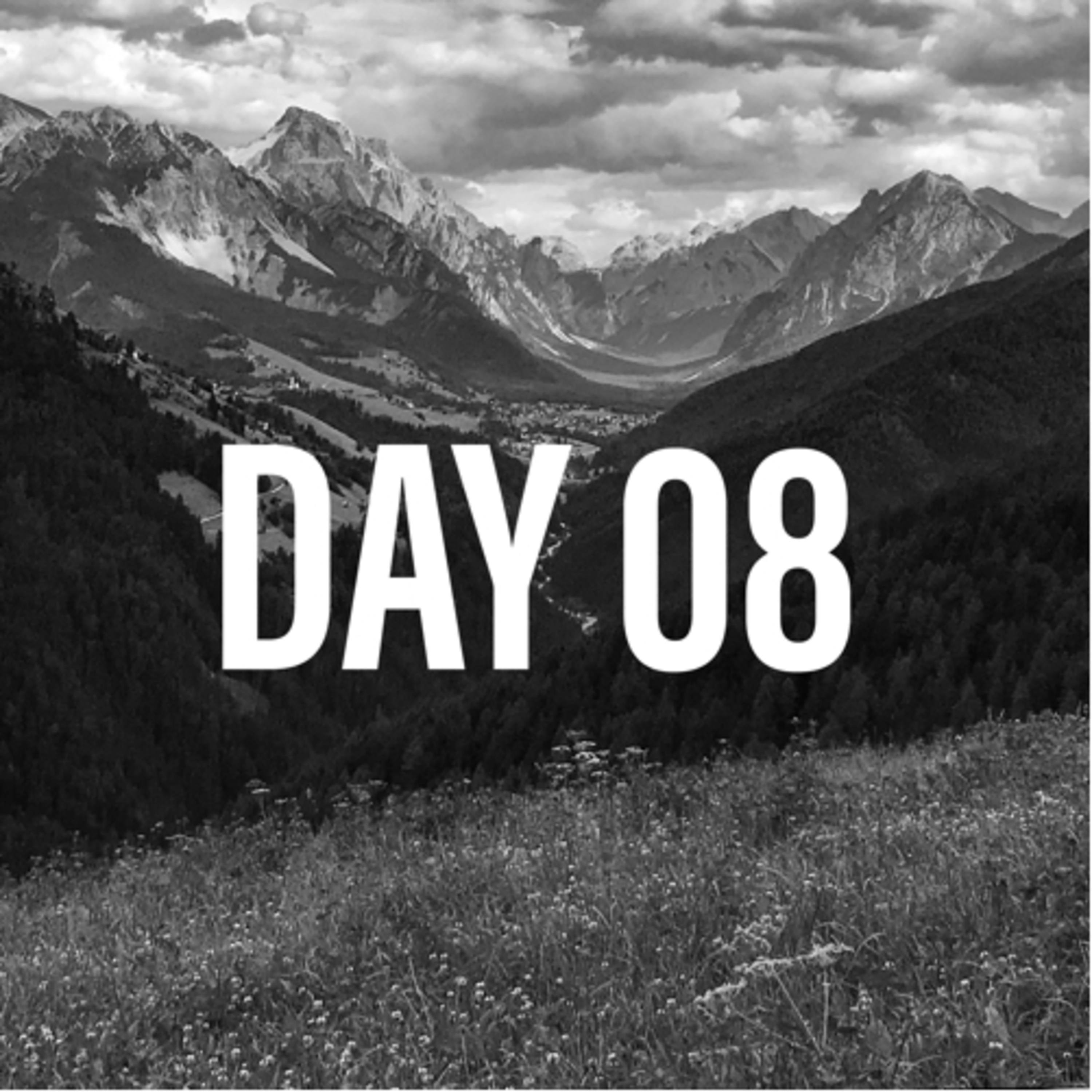 TCR No7 Day 08 episode artwork