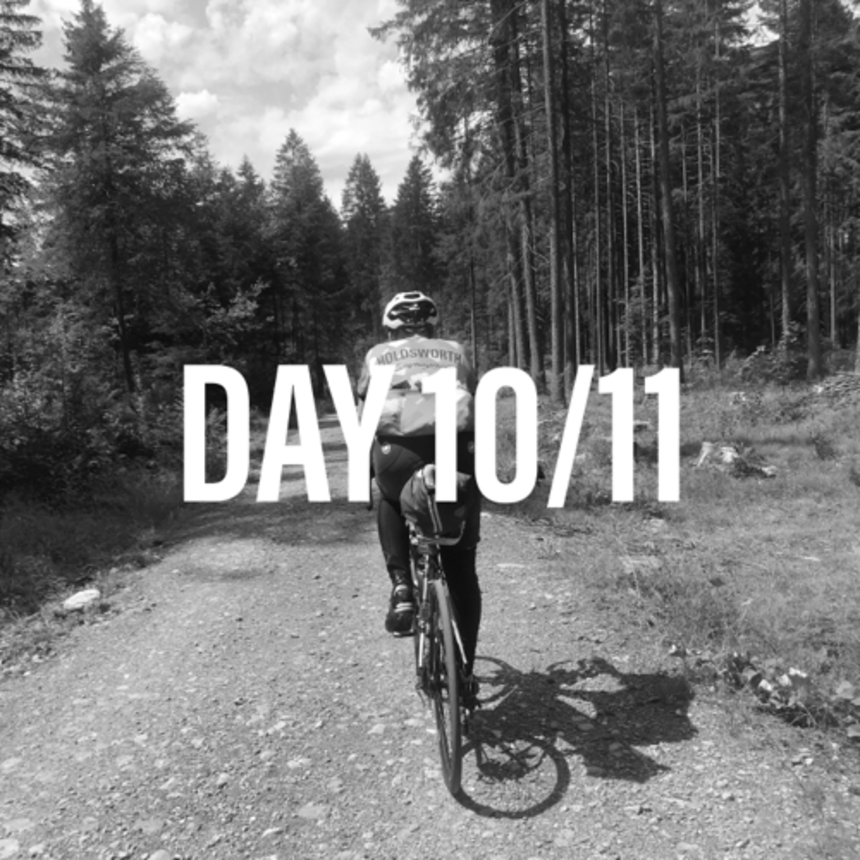 TCRNo7 - Day 10/11 episode artwork