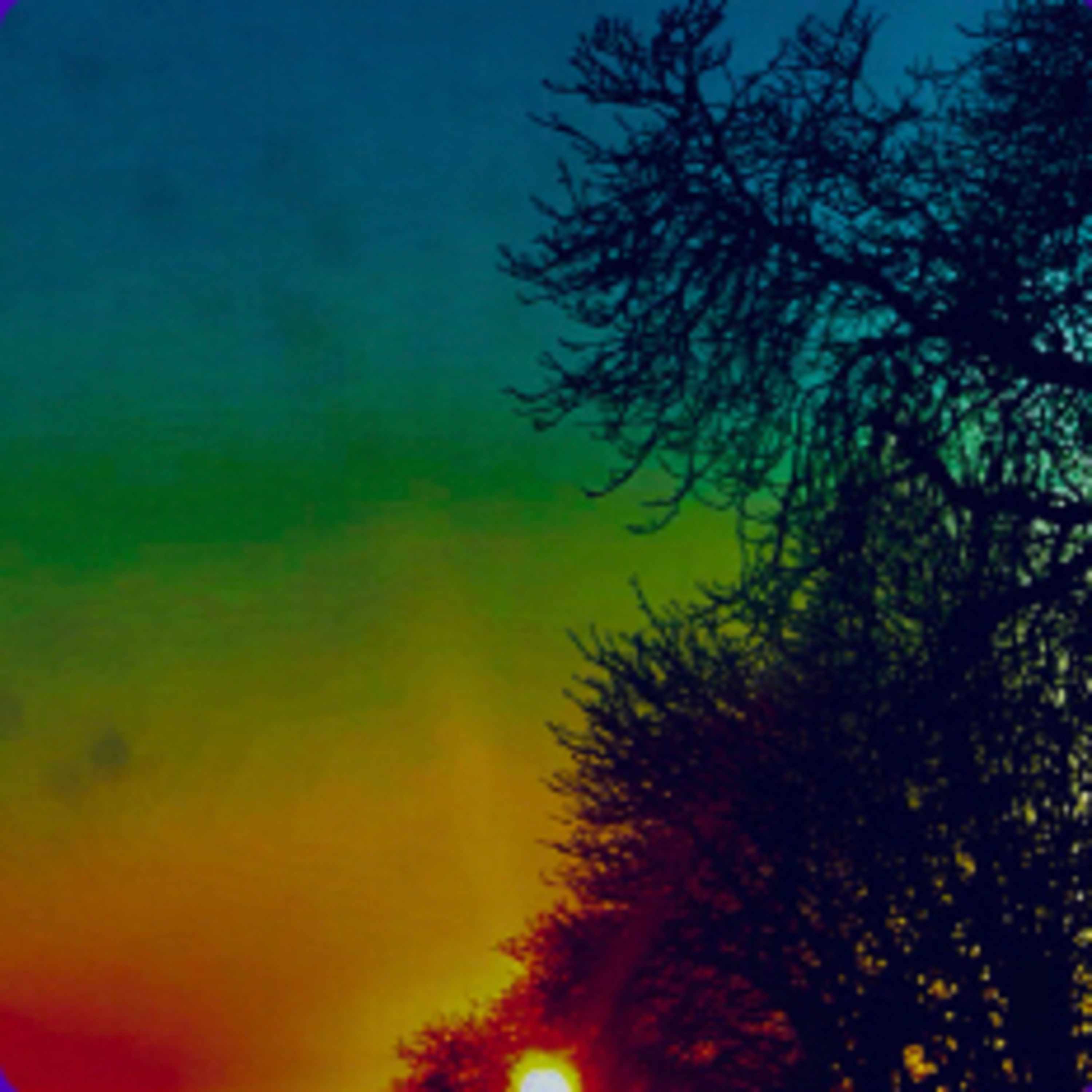 ~ReysWorld~