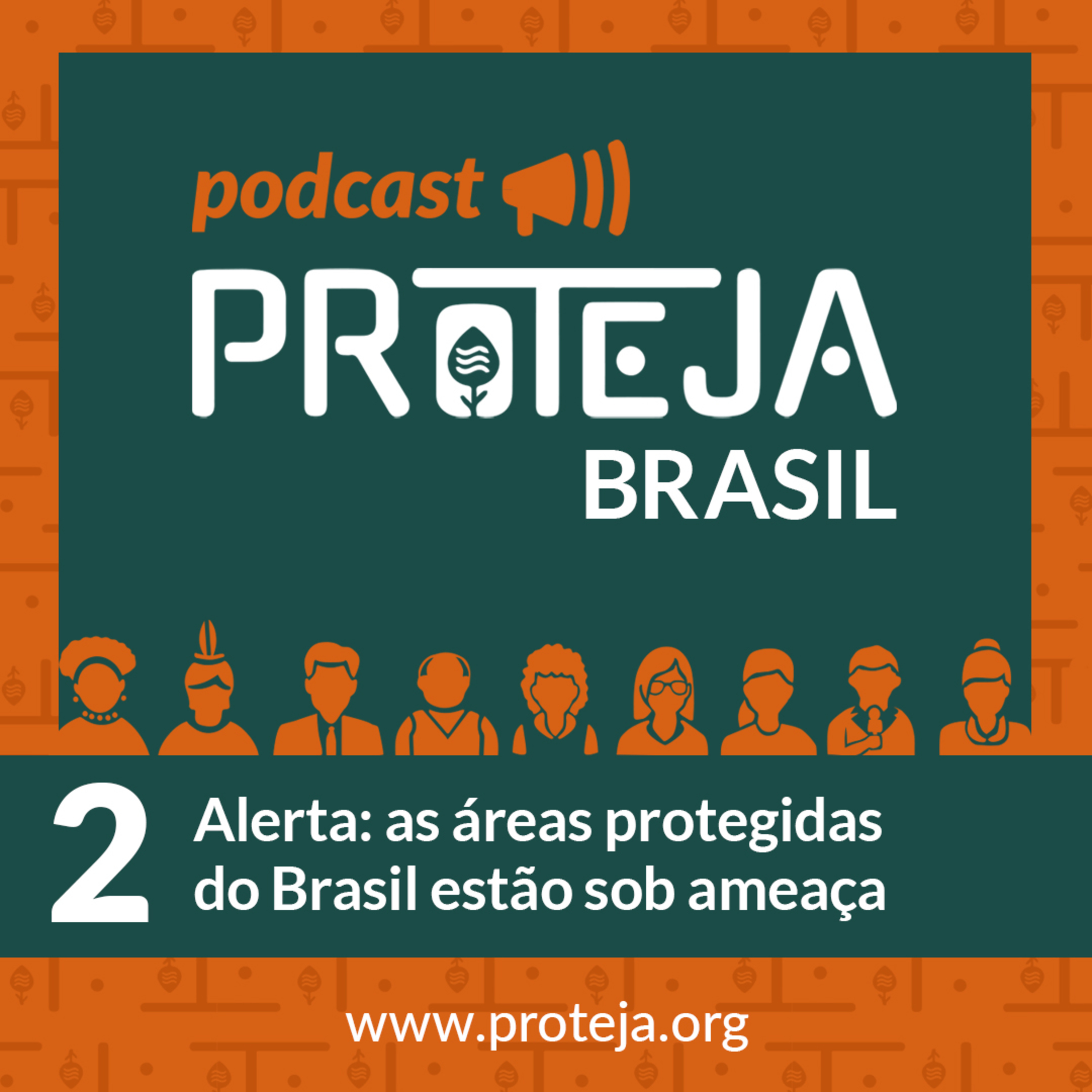 PROTEJA Brasil