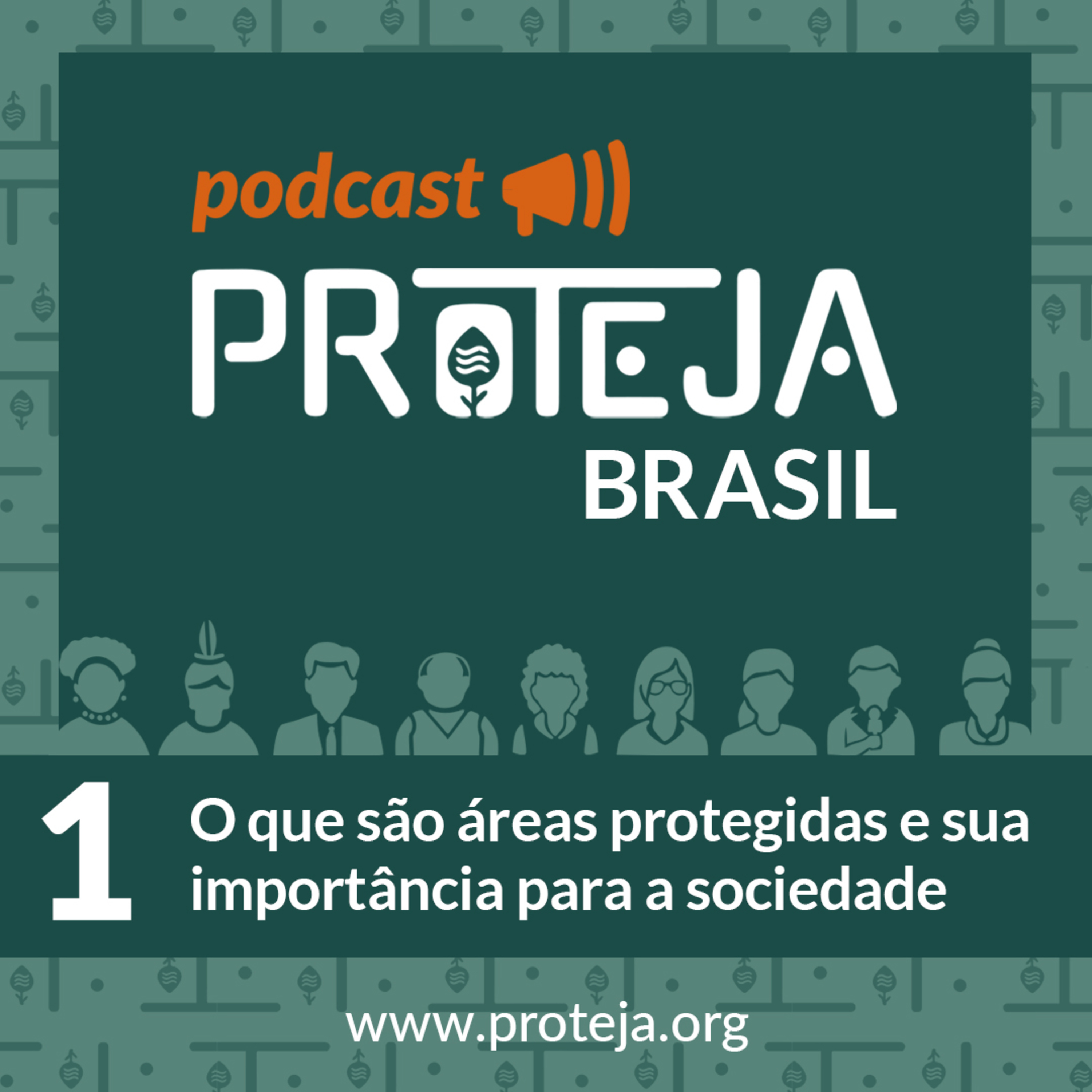 PROTEJA Brasil