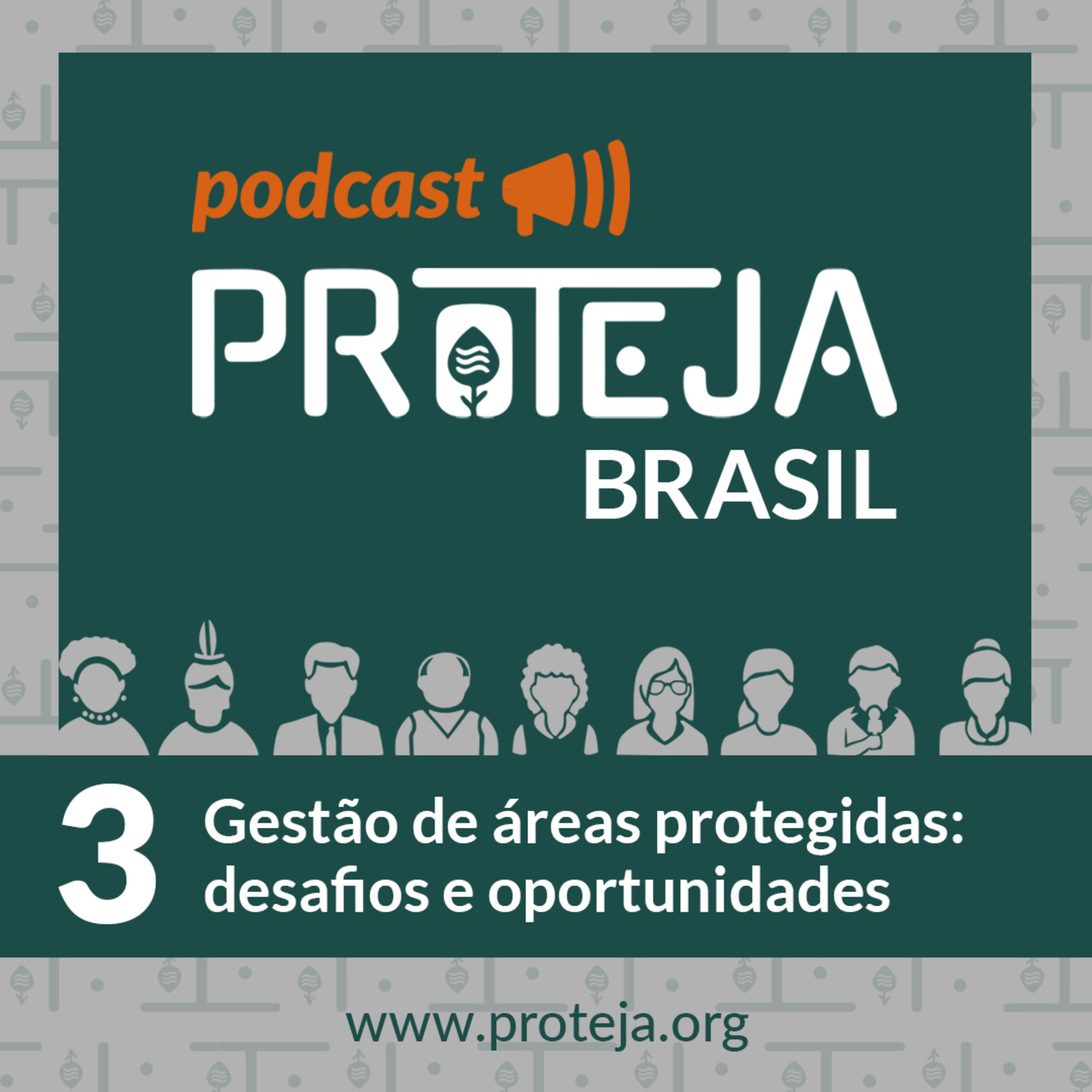 PROTEJA Brasil