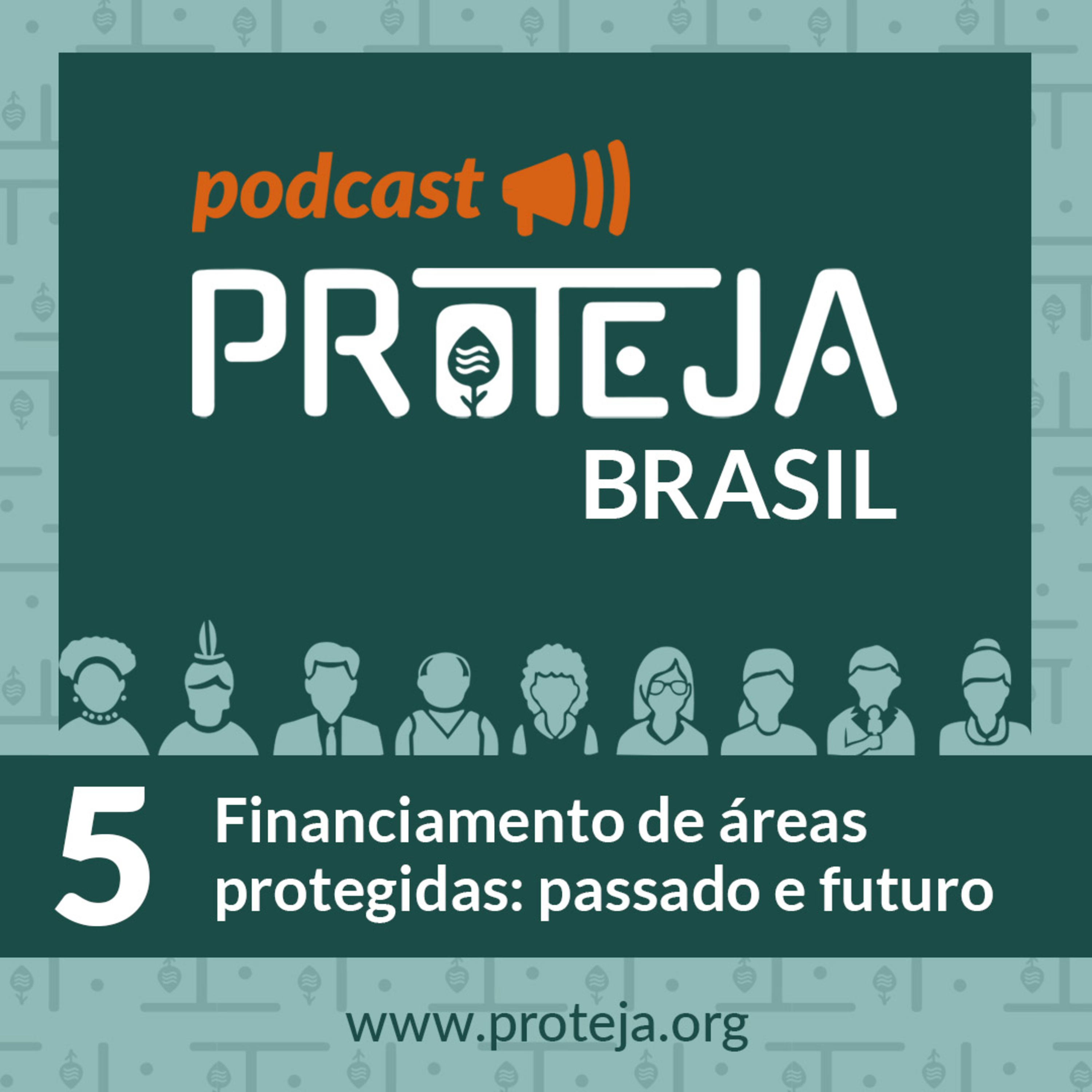 PROTEJA Brasil