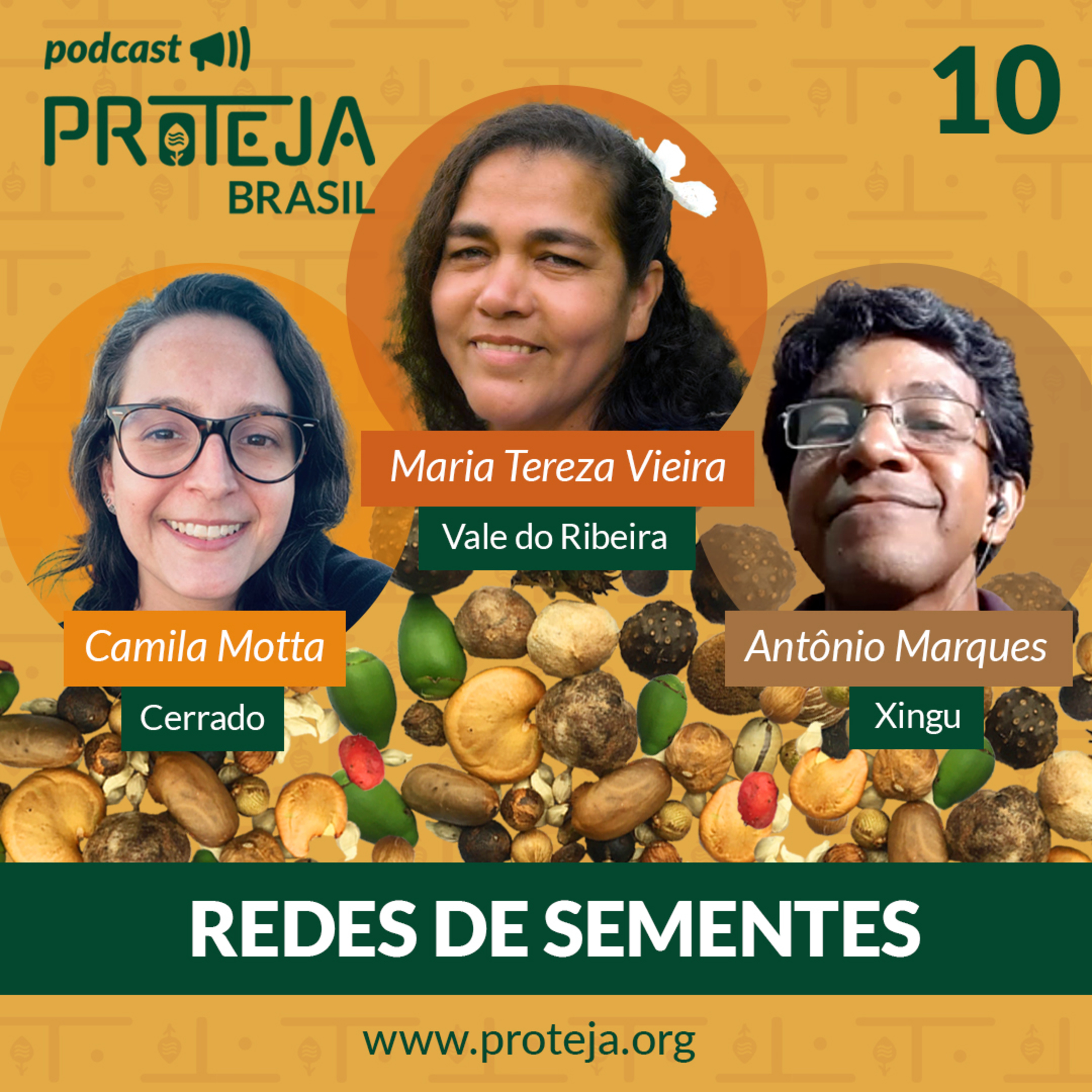PROTEJA Brasil