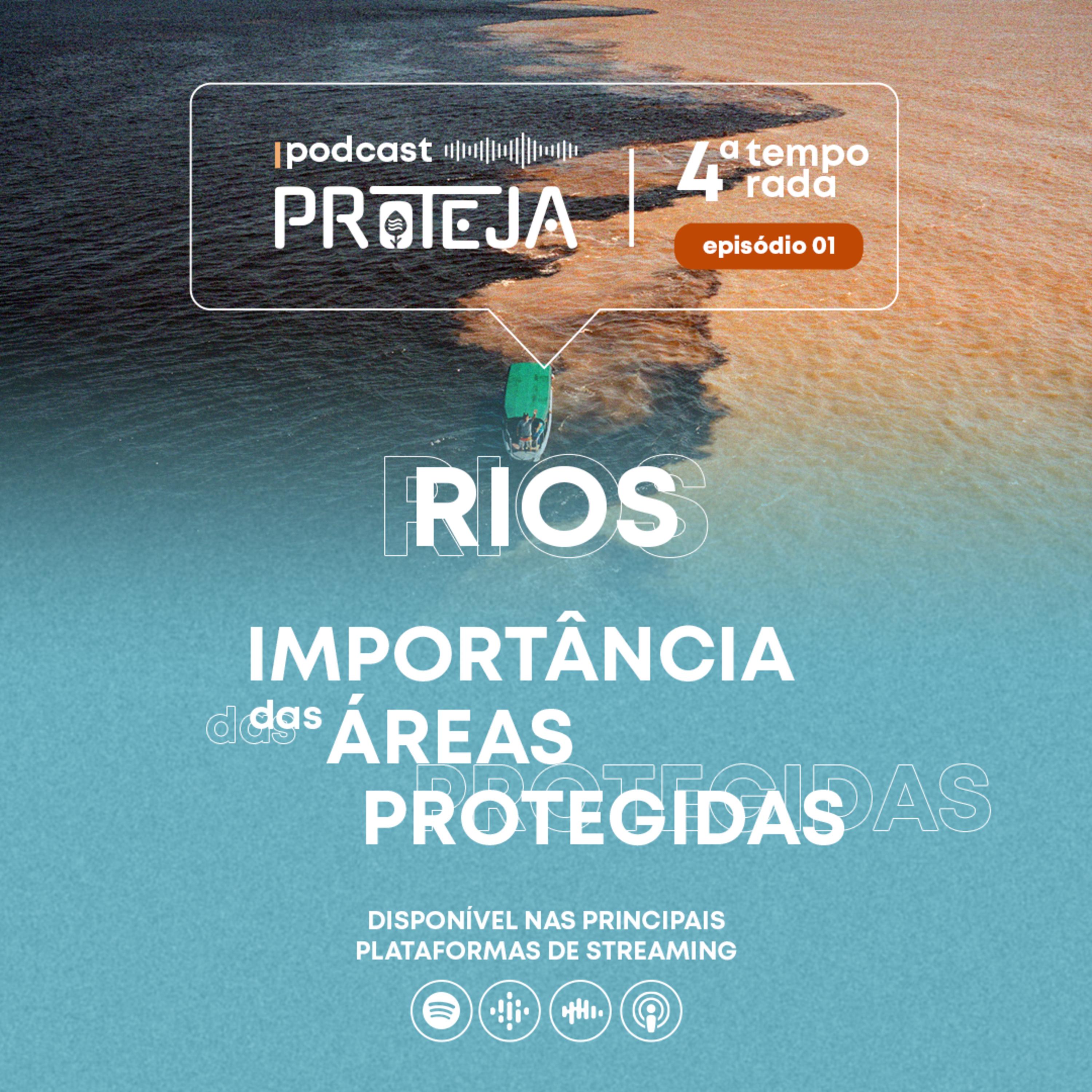 PROTEJA Brasil
