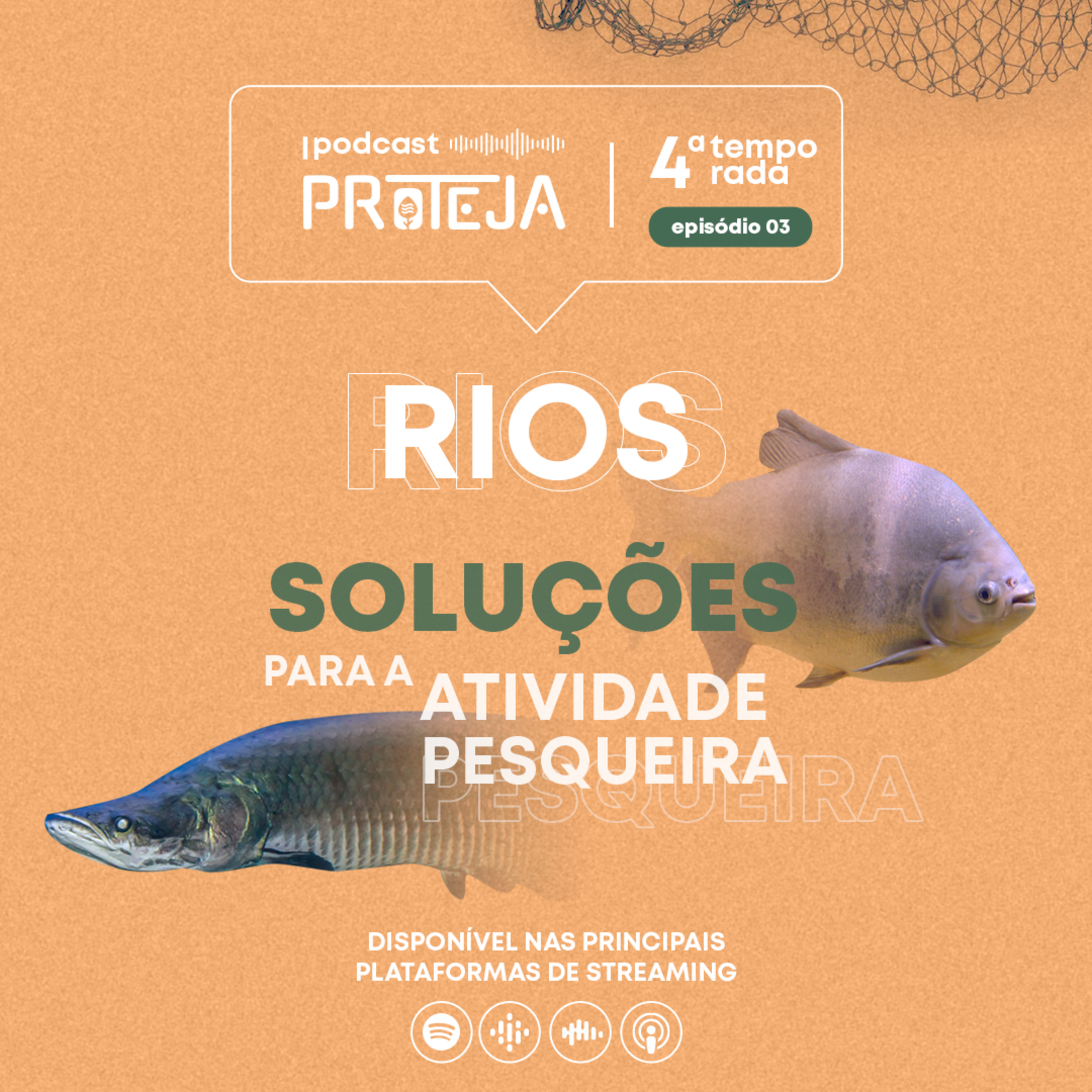 PROTEJA Brasil