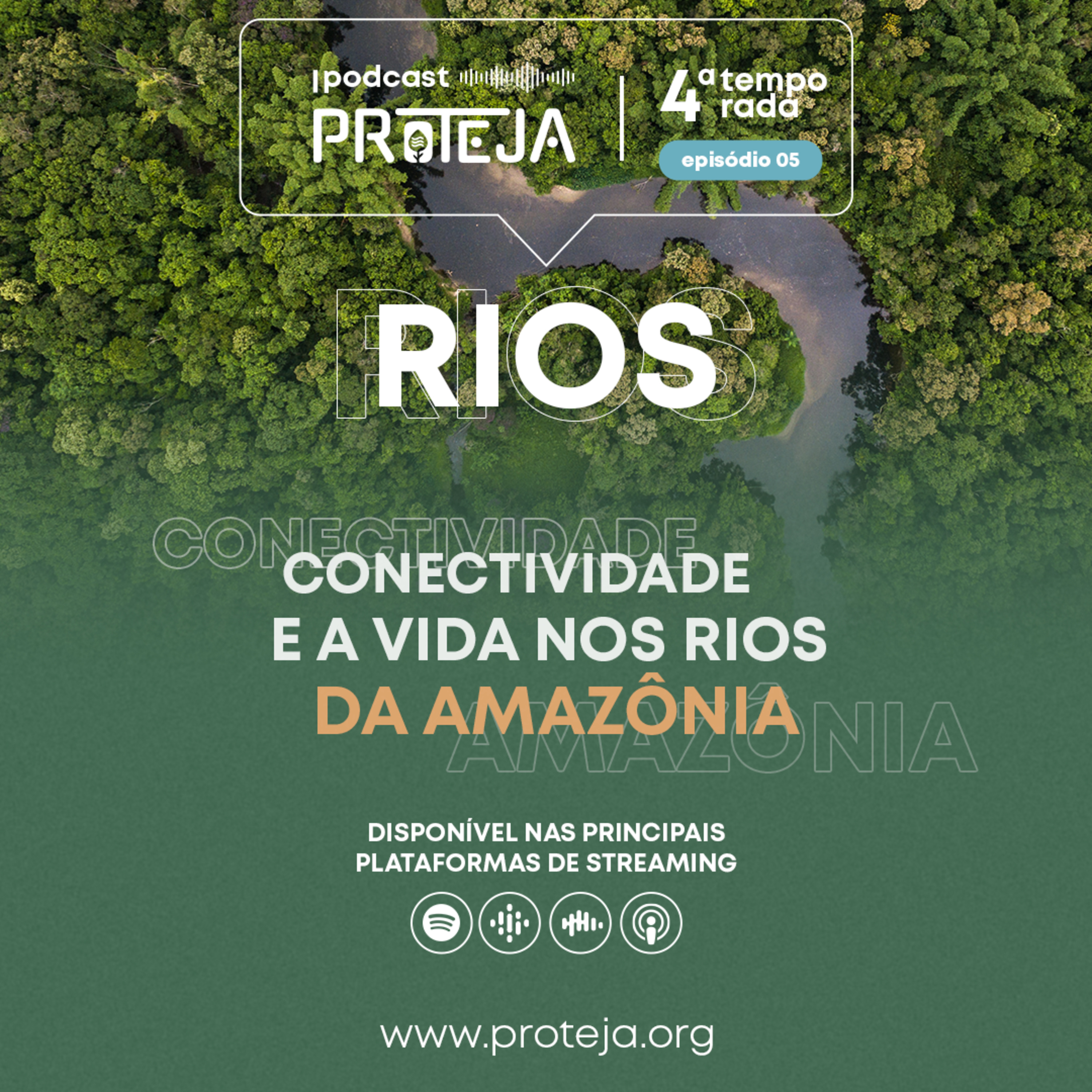 PROTEJA Brasil