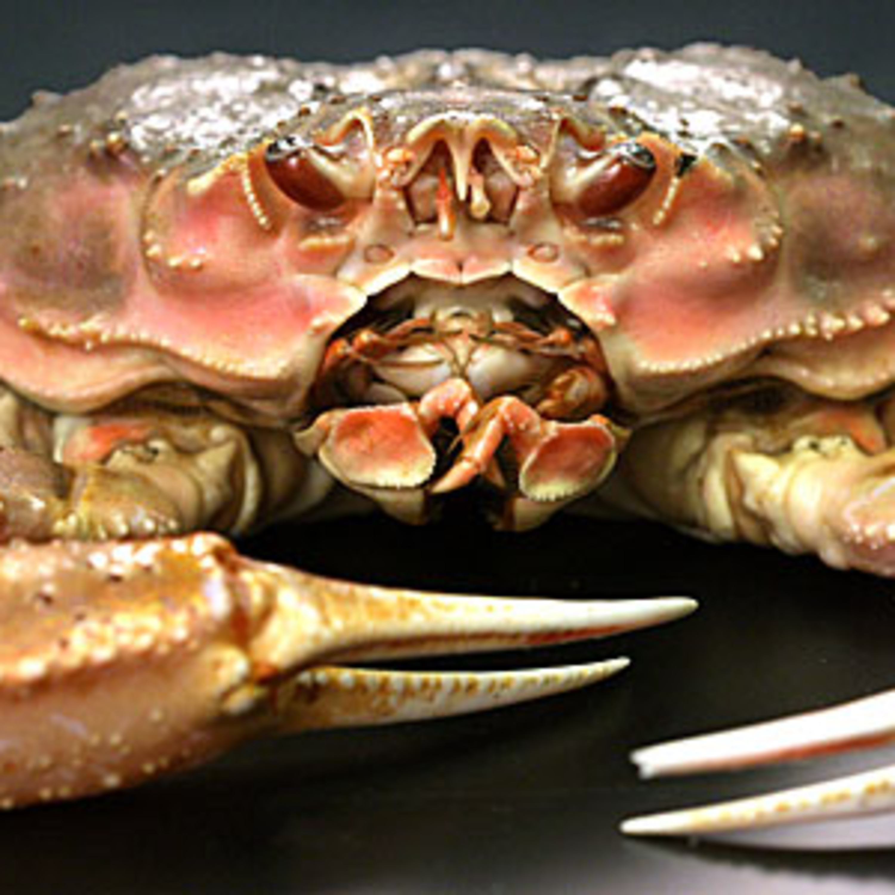 The Alaska Fisheries Report from KMXT