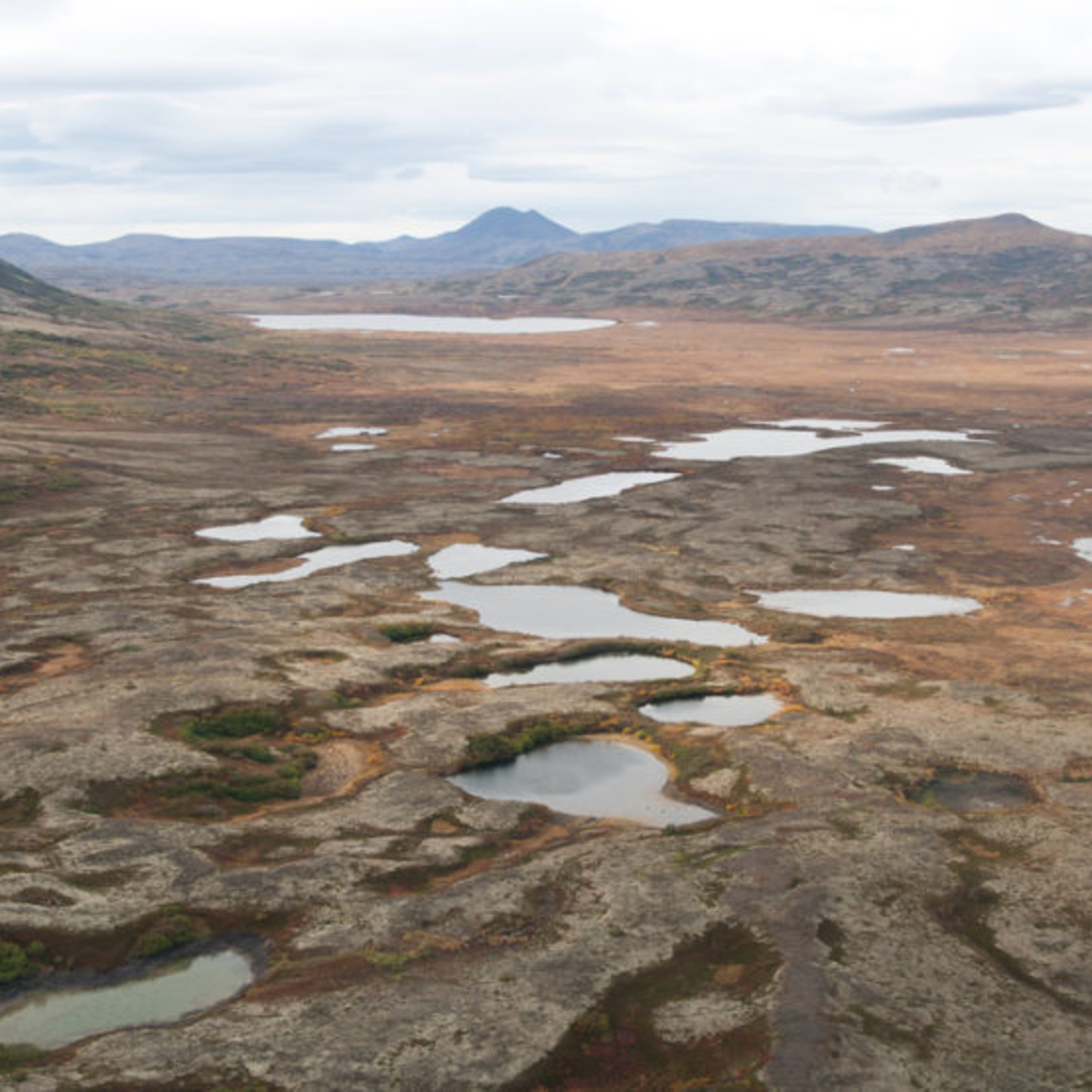 The Alaska Fisheries Report from KMXT
