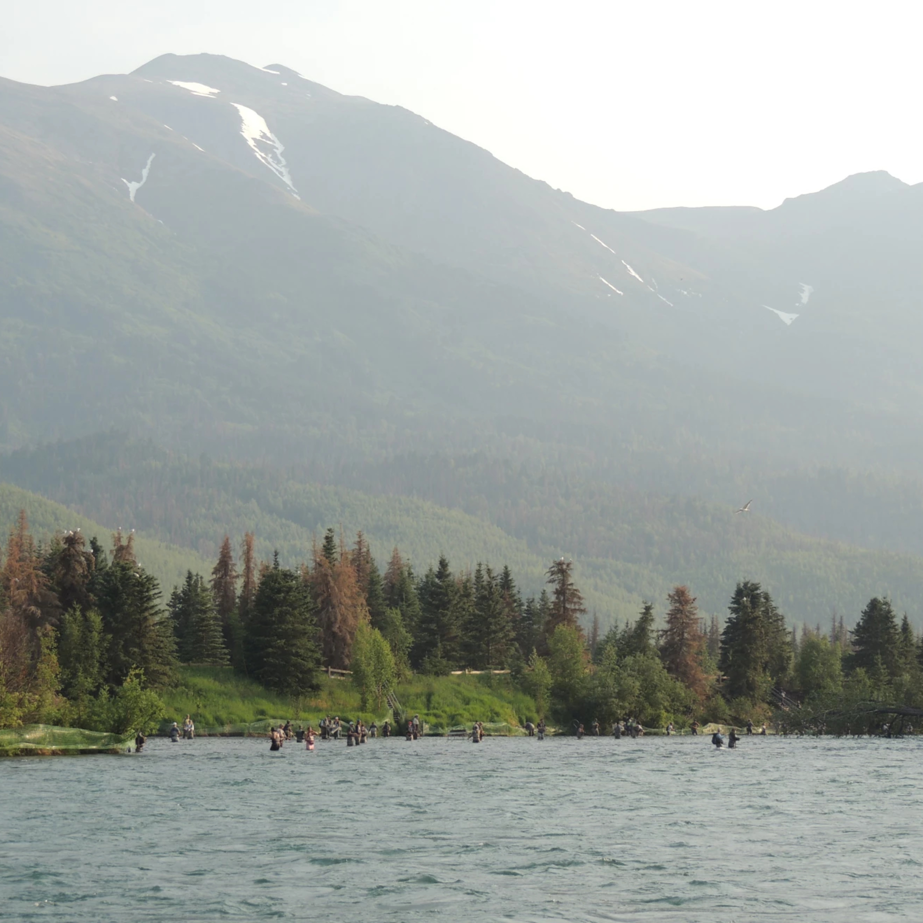 The Alaska Fisheries Report from KMXT