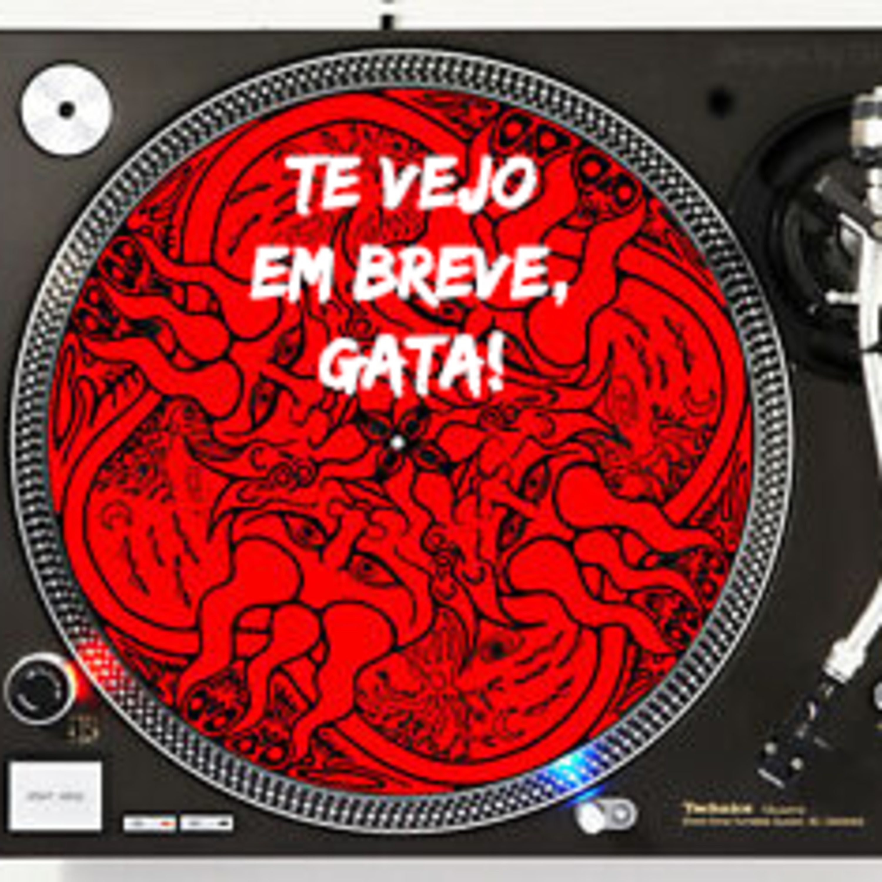 #24 Te vejo em breve, gata! episode artwork