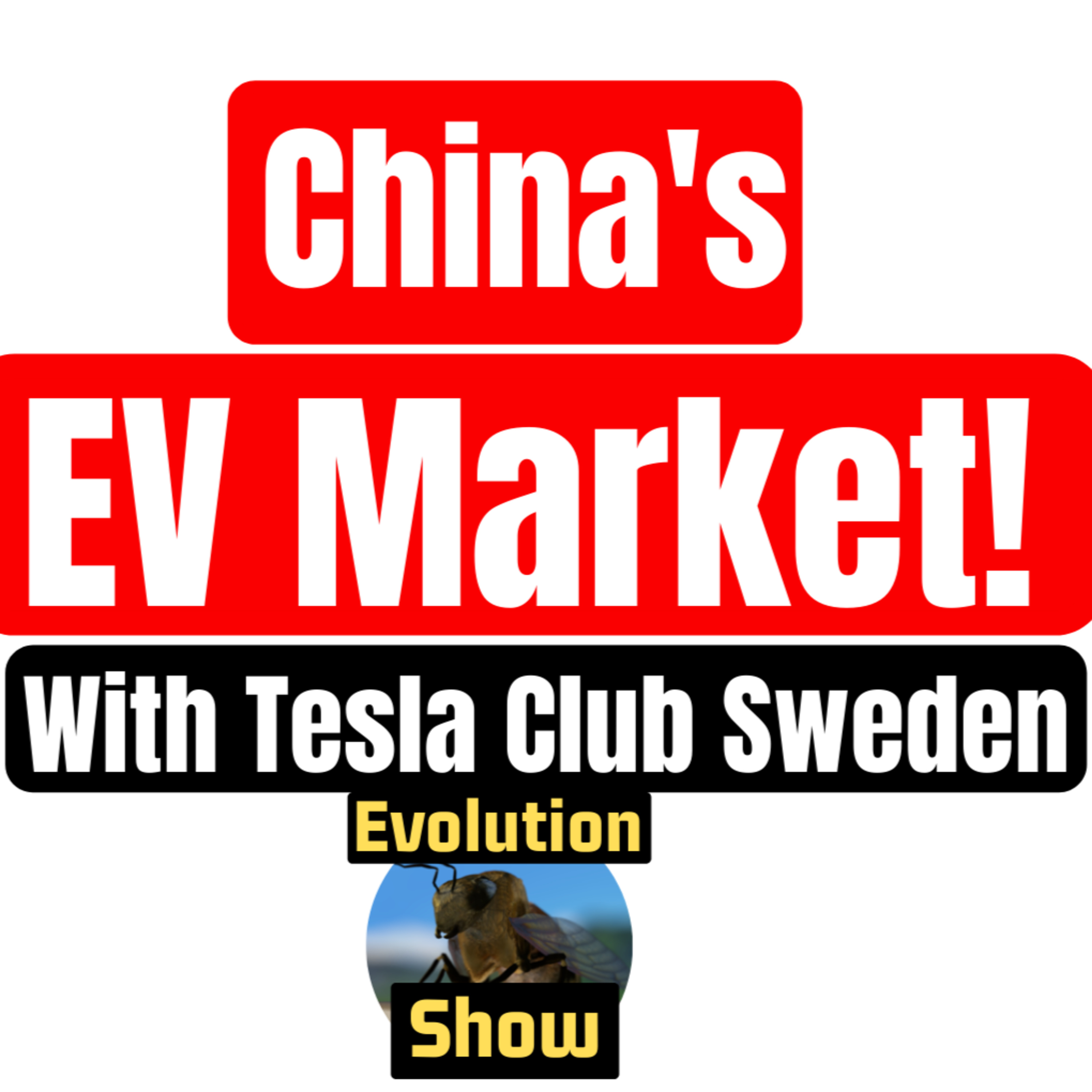 China's EV Market - "The Plug-in EV's are dead!"