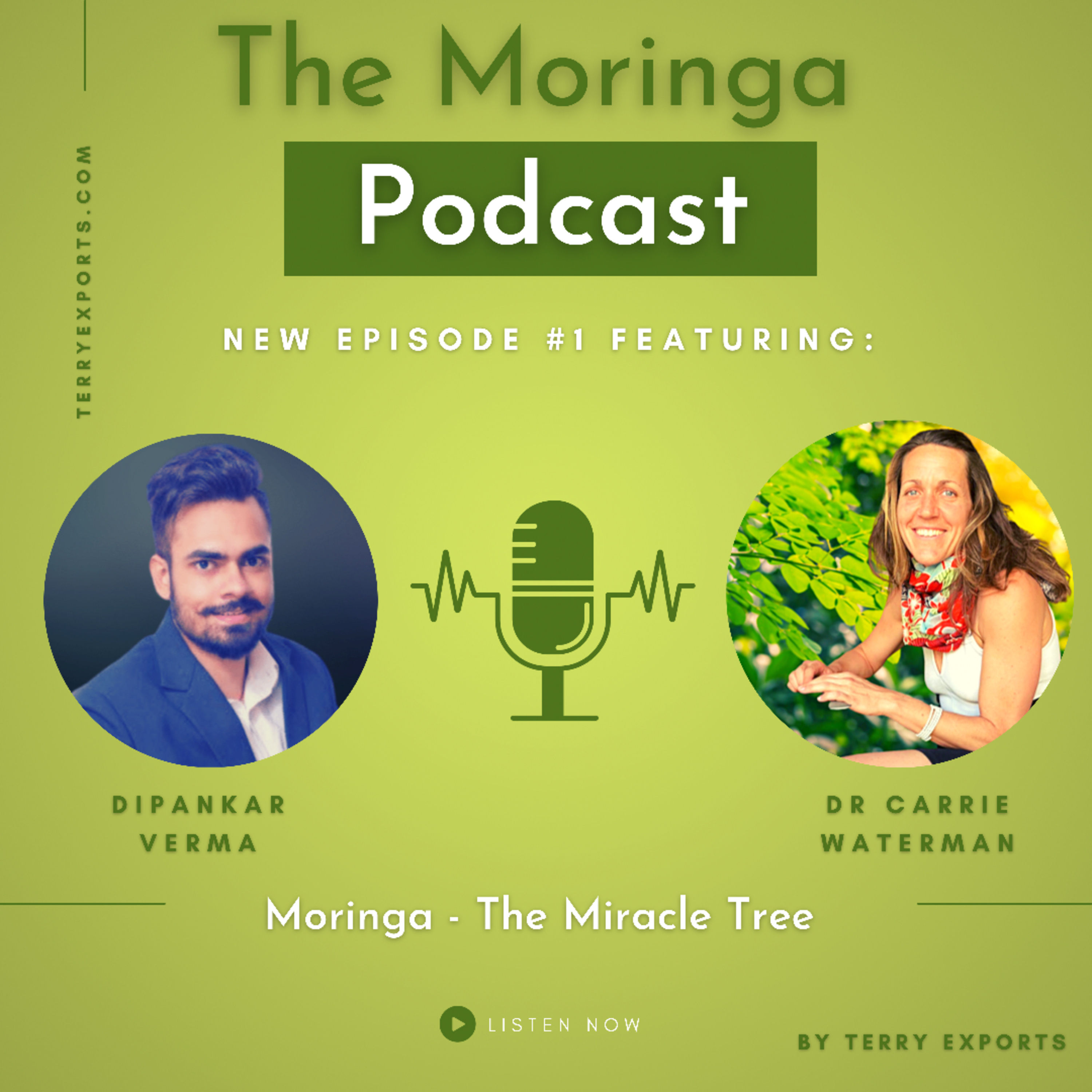 Moringa Talk with renowned researcher - Dr Carrie Waterman episode artwork