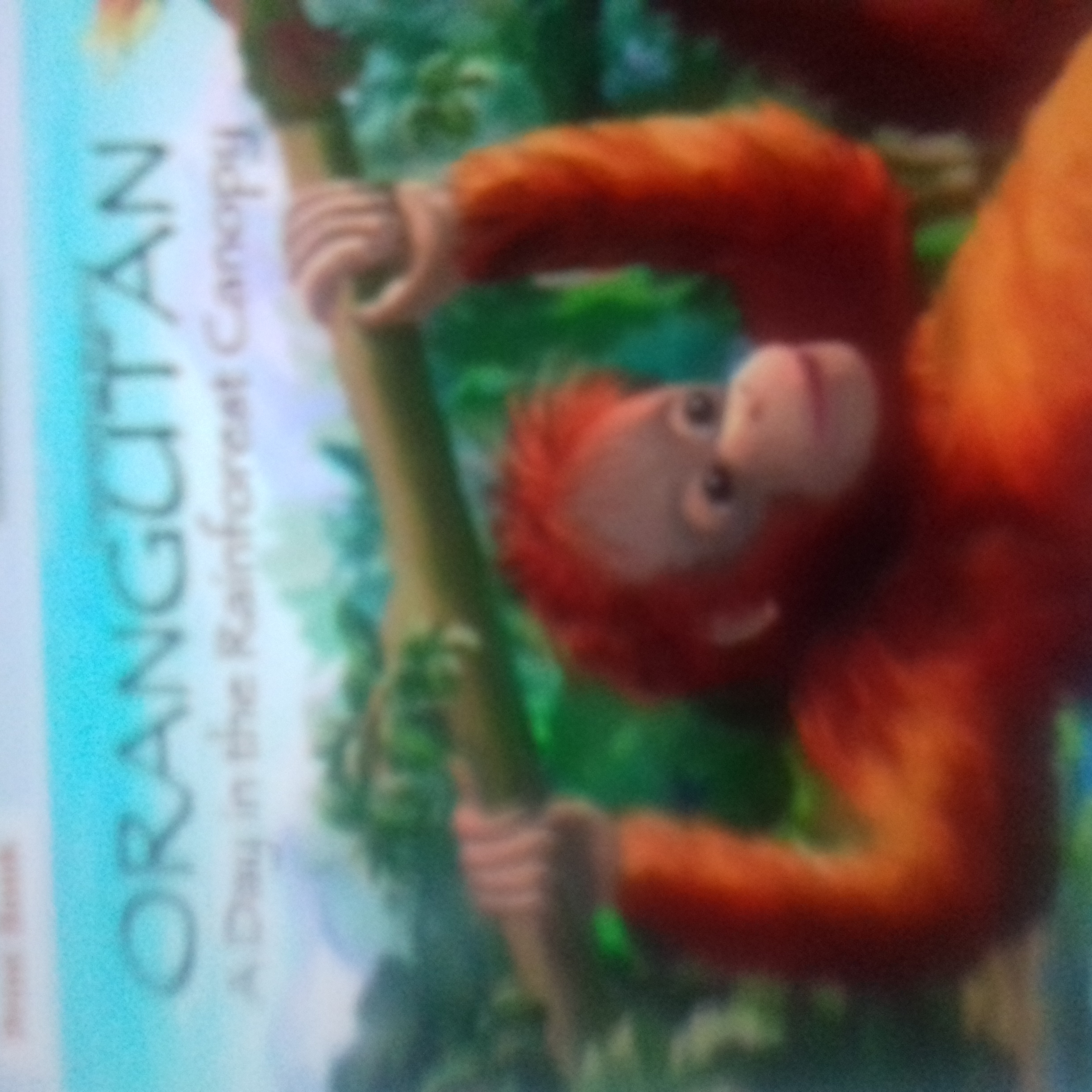 ORANGUTAN A DAY IN THE RAINFOREST CANOPY BY RITA GOLDNER. .ILLUSTRATIONS BY NAOMI C ROSE..KINDLE EDITION $2.71..HARDCOVER $17.95 AVAILABLE ON AMAZON CO UK NARRATIVE BY MARK ANTHONY RAINES AKA GHOSTMAN