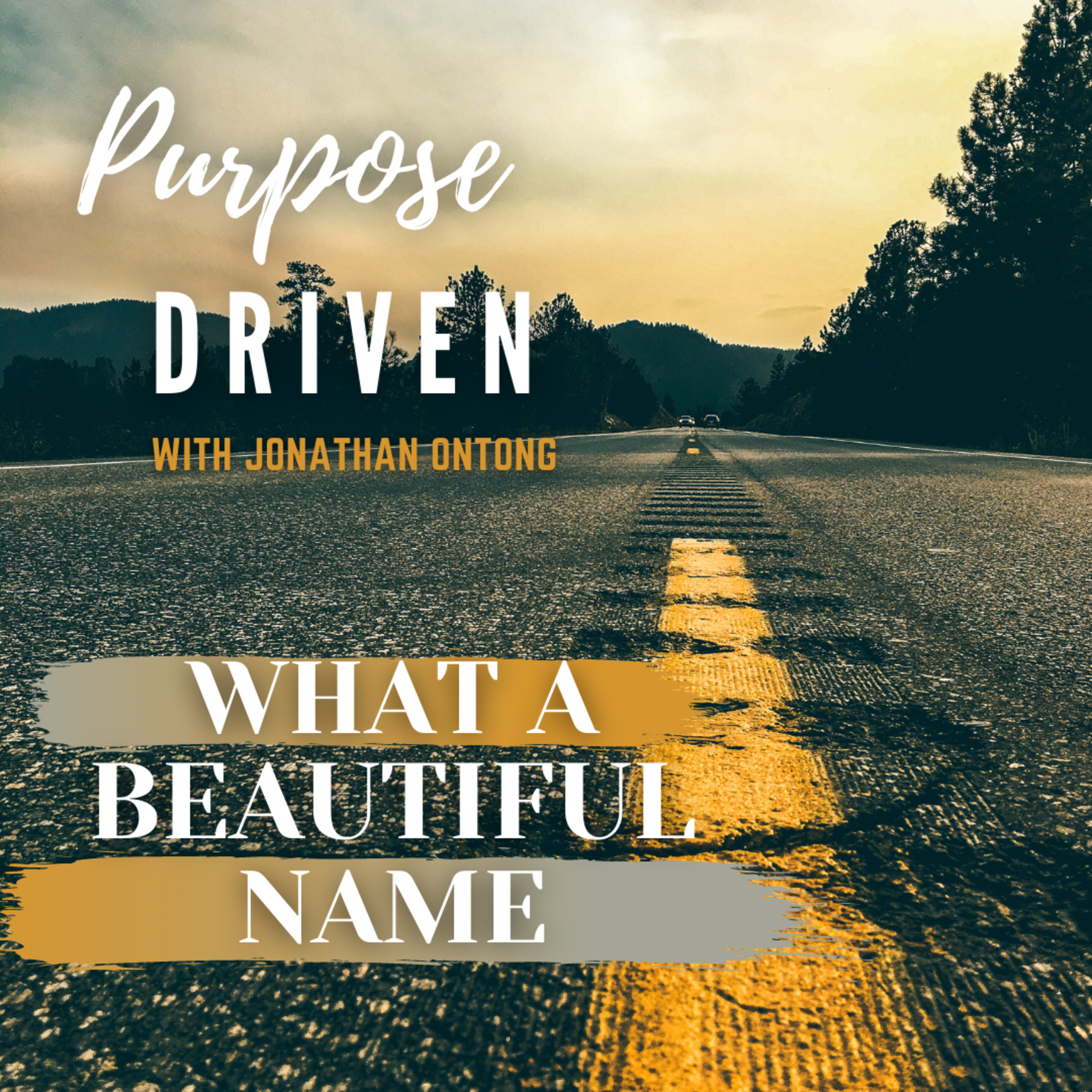 Purpose Driven