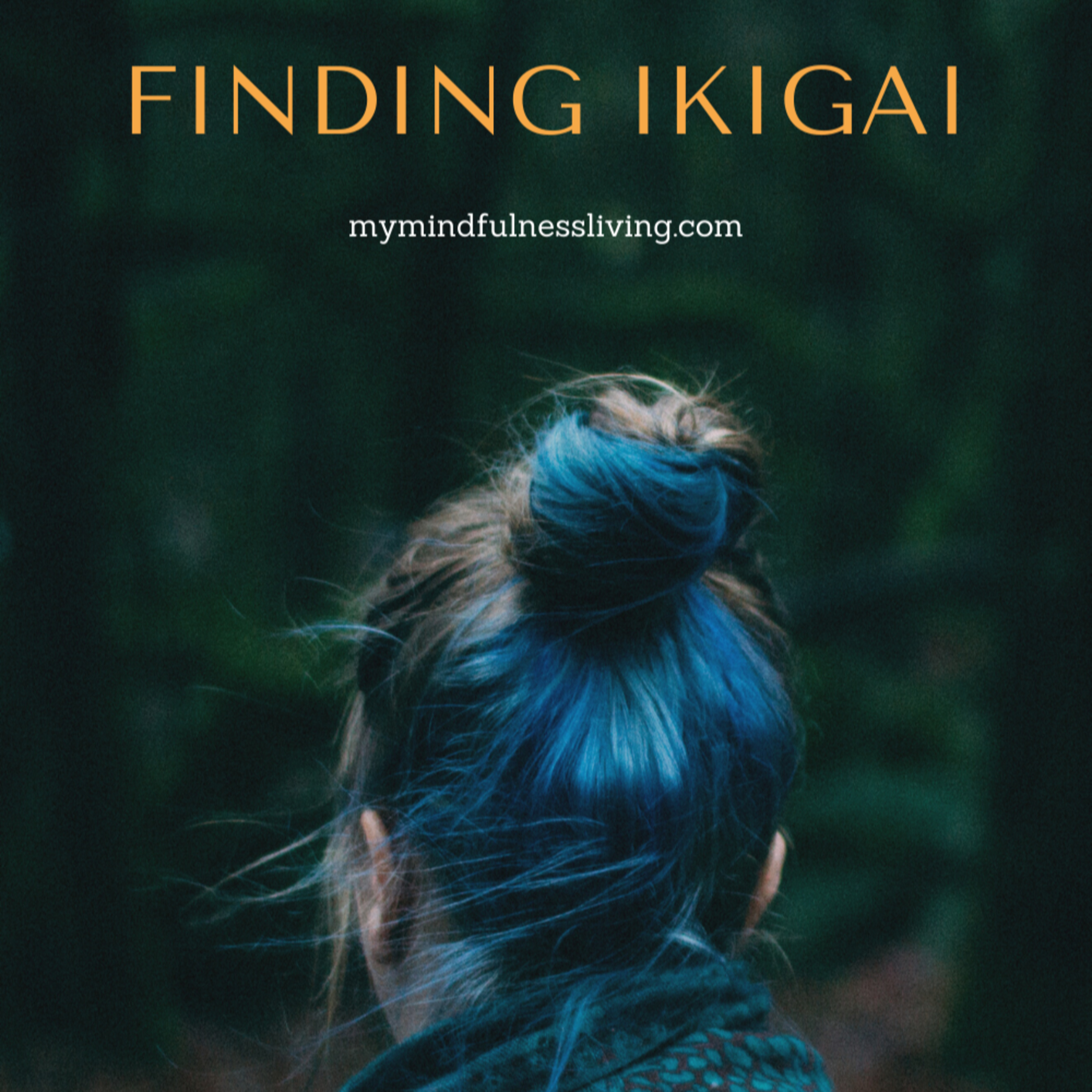Finding Ikigai… episode artwork