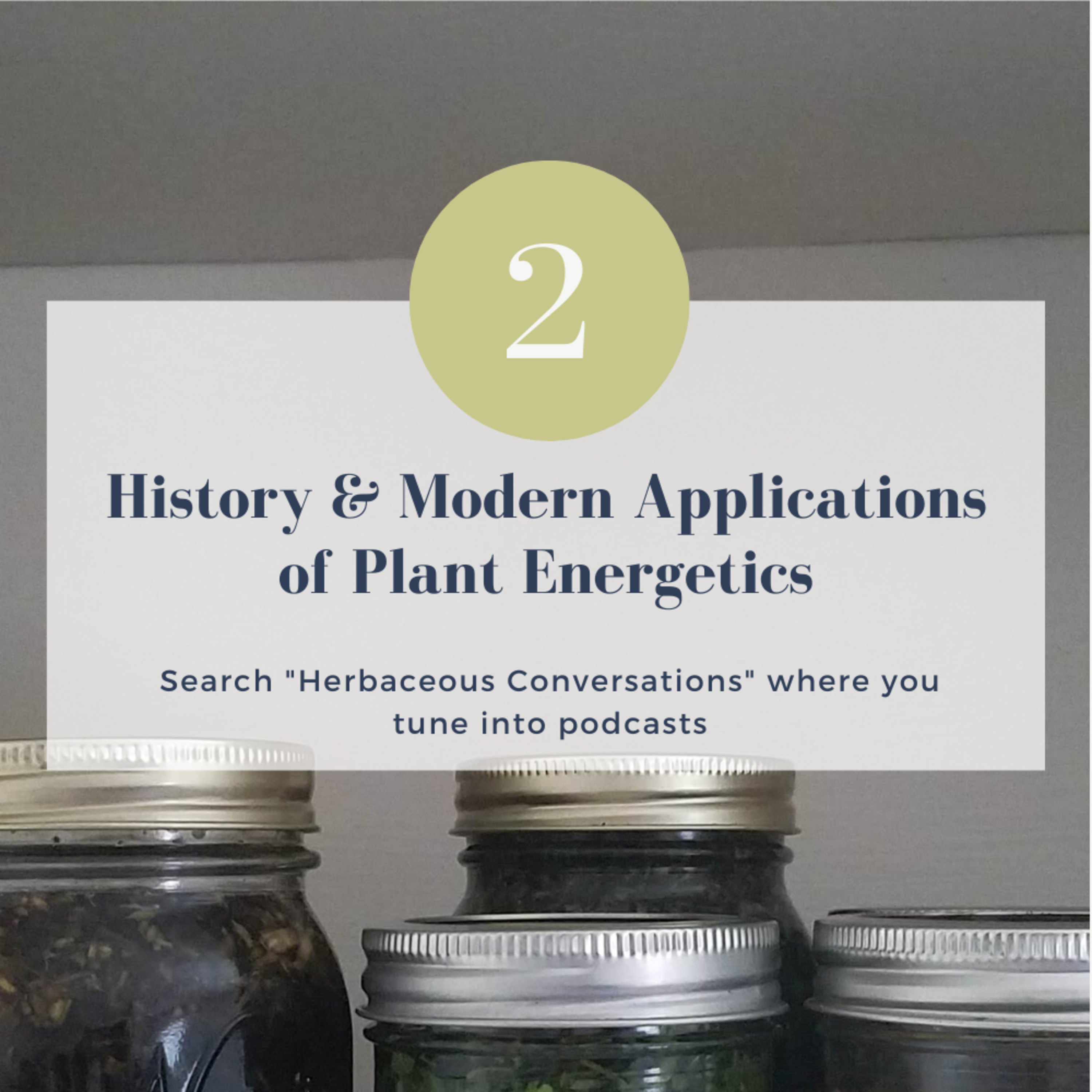 History & Modern Applications of Plant Energetics // Episode 2 episode artwork