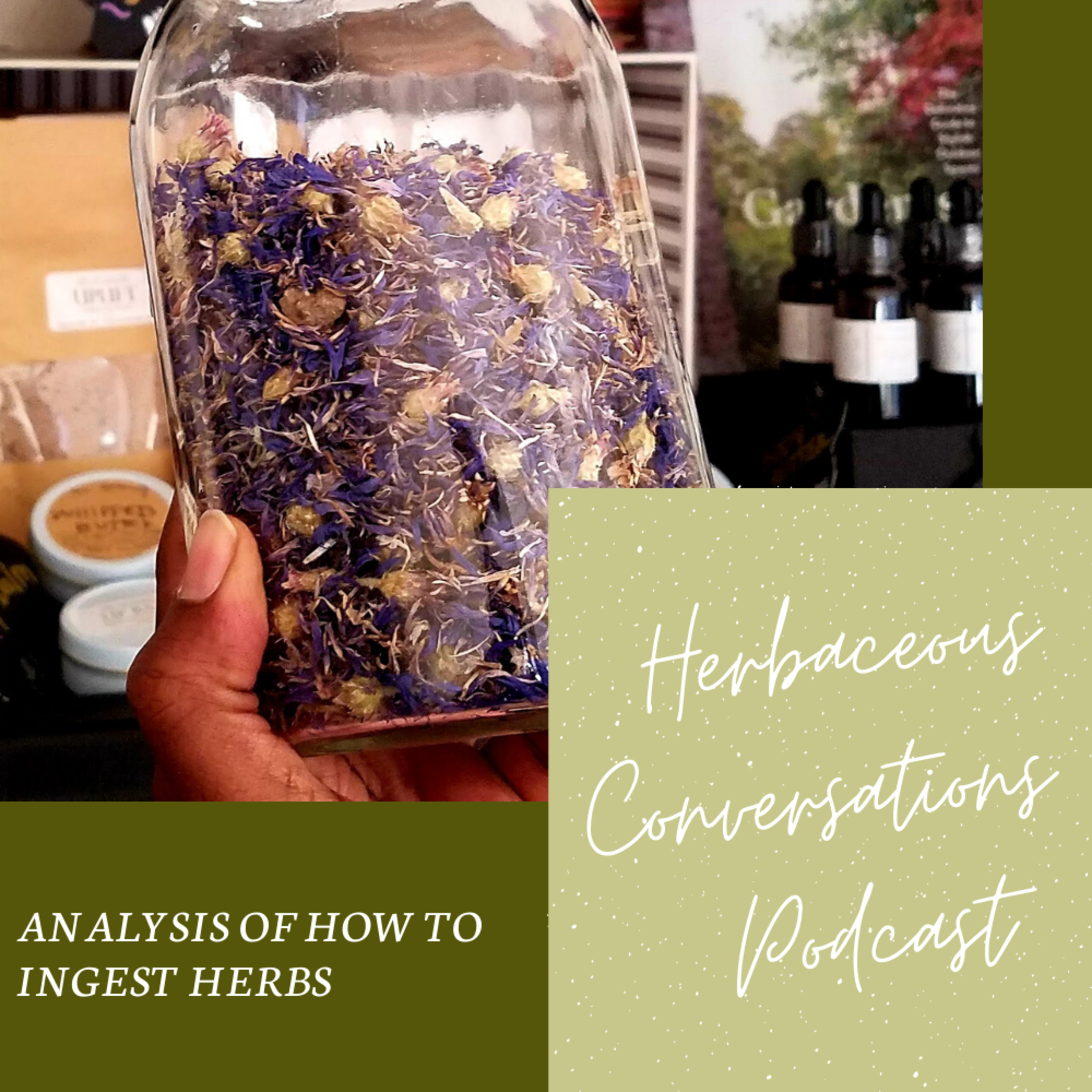 Analysis of How to Ingest Herbs // Episode 3