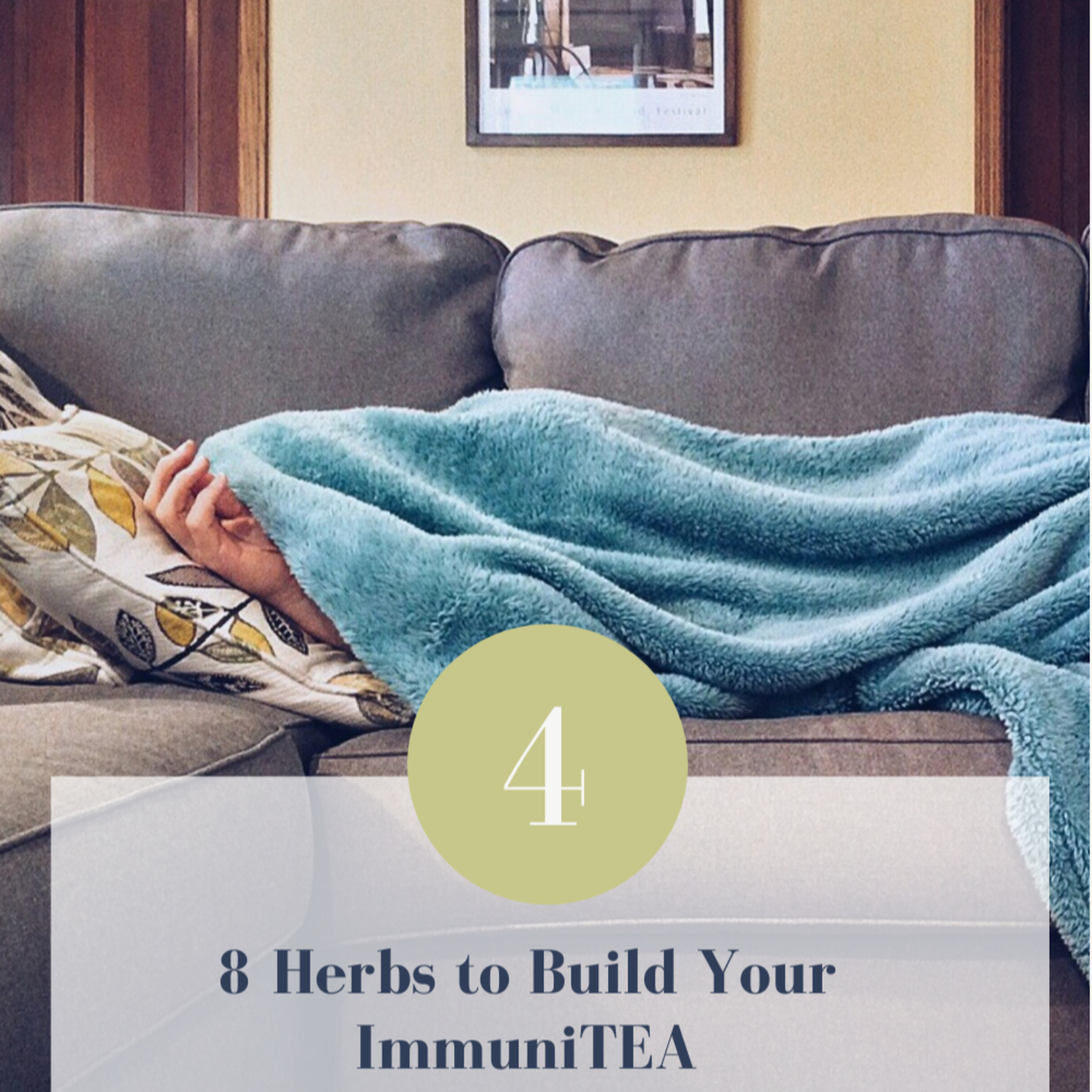 8 Herbs to Build Your ImmuniTEA // Episode 4 episode artwork